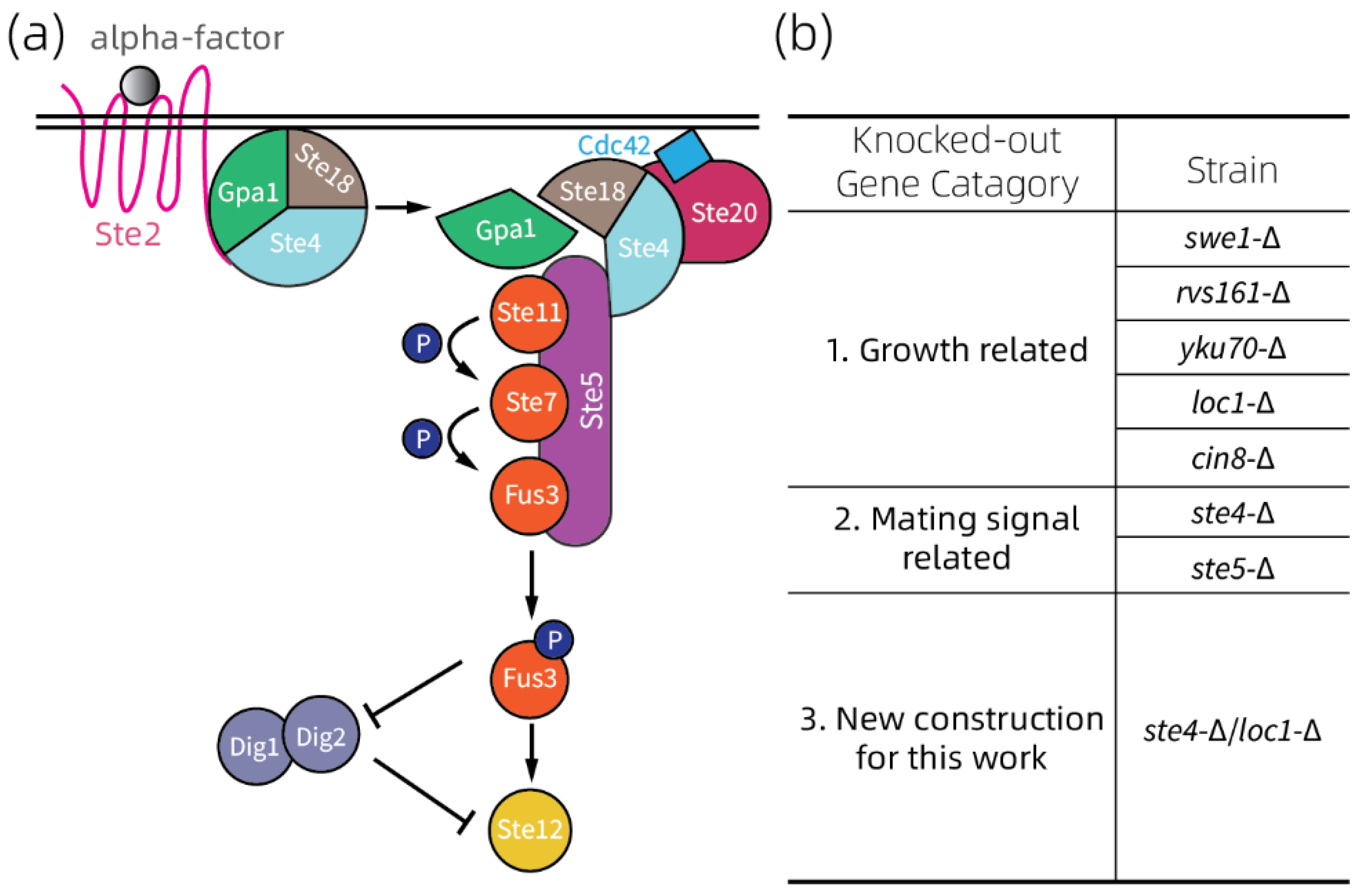 Chemosensors 10 00141 g003 Chemosensors 10 00141 g003