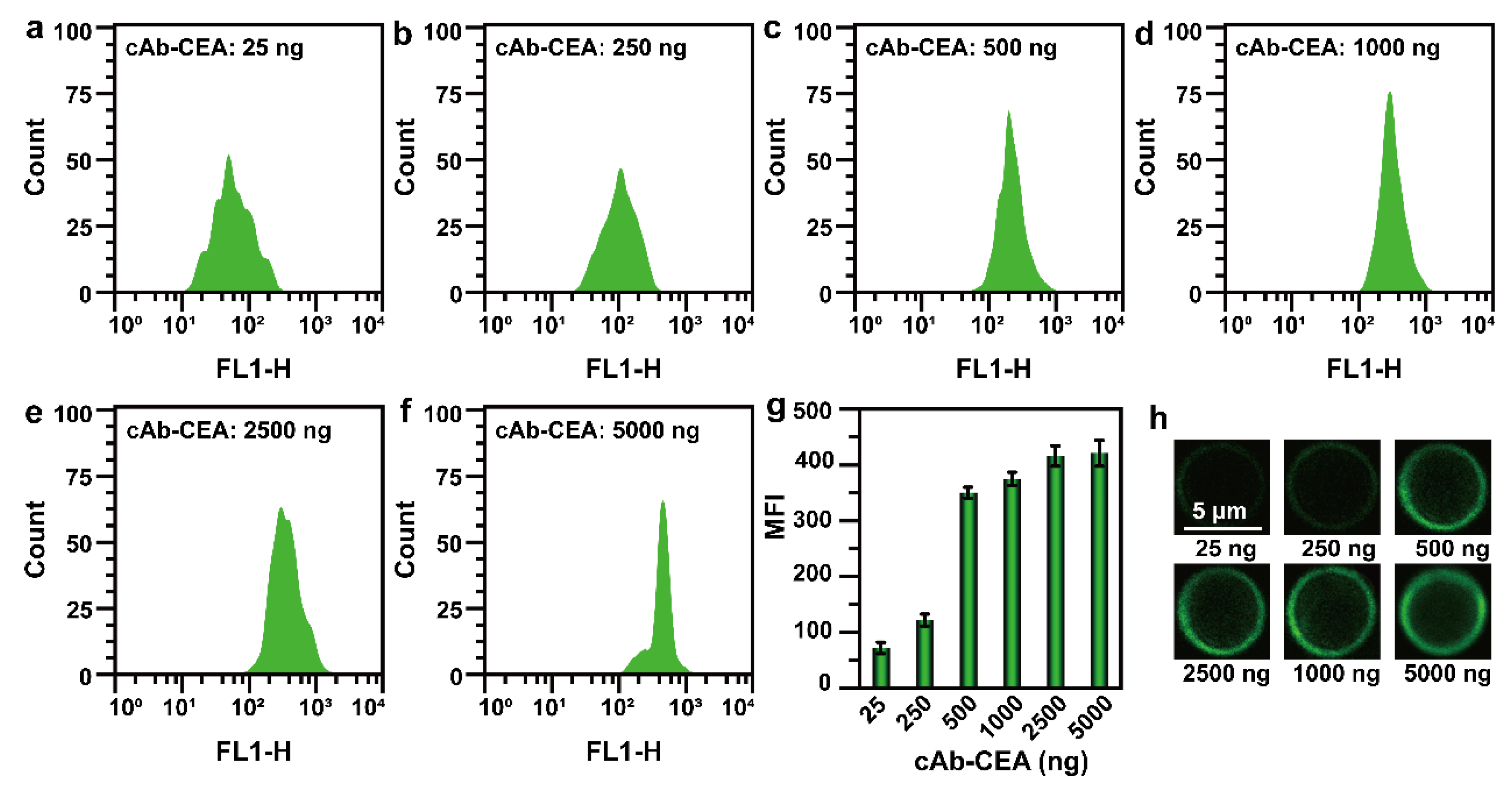 Chemosensors 10 00142 g002