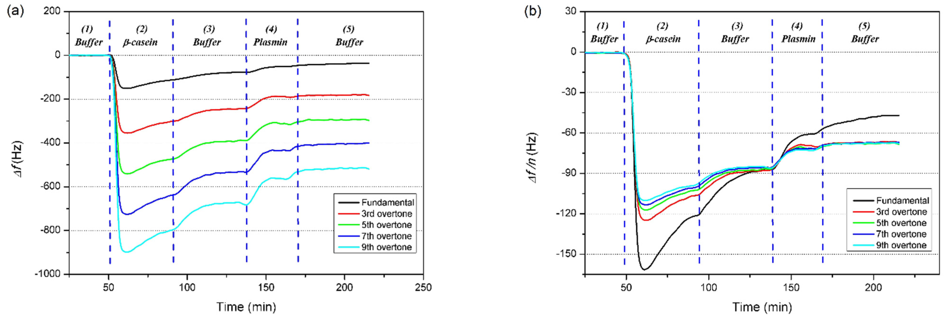 Chemosensors 10 00143 g001