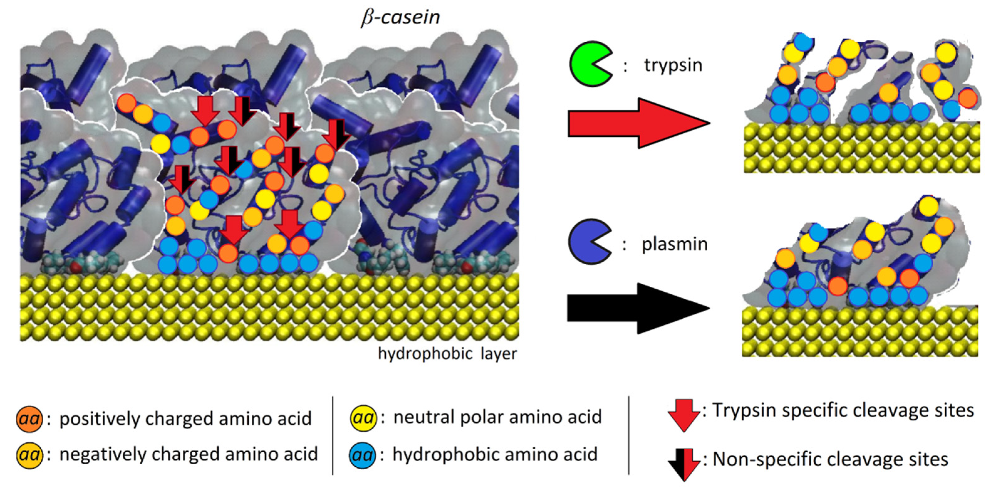 Chemosensors 10 00143 g007