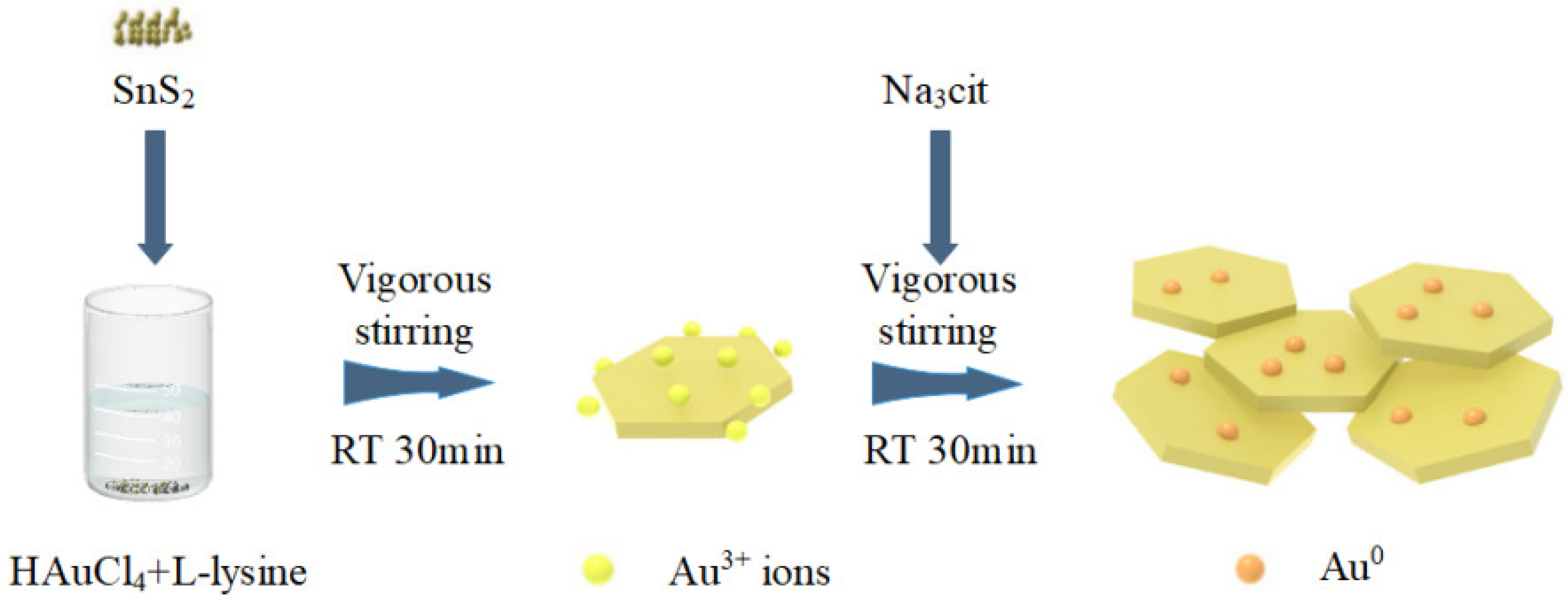 Chemosensors 10 00165 g001
