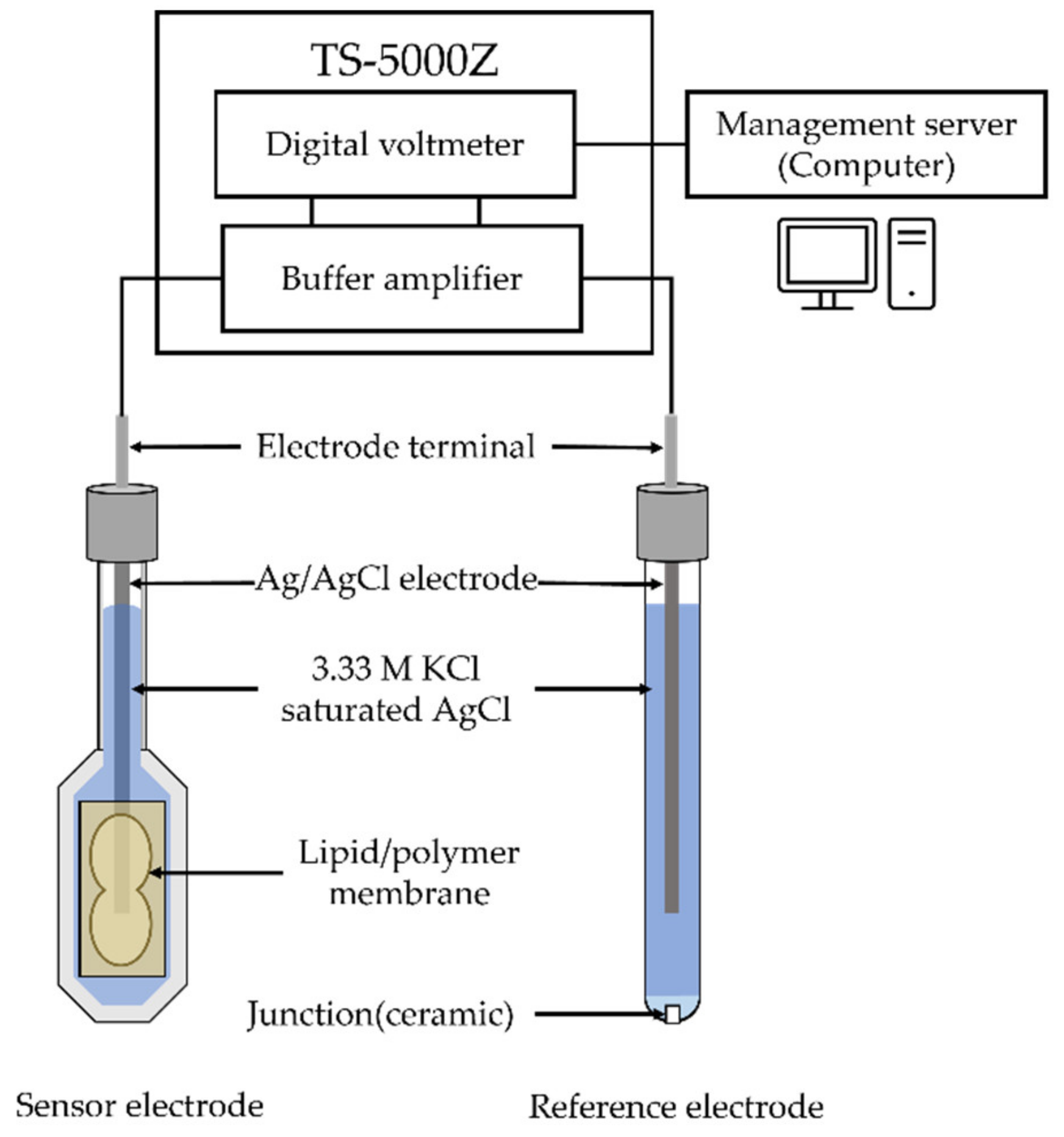 Chemosensors 10 00166 g002