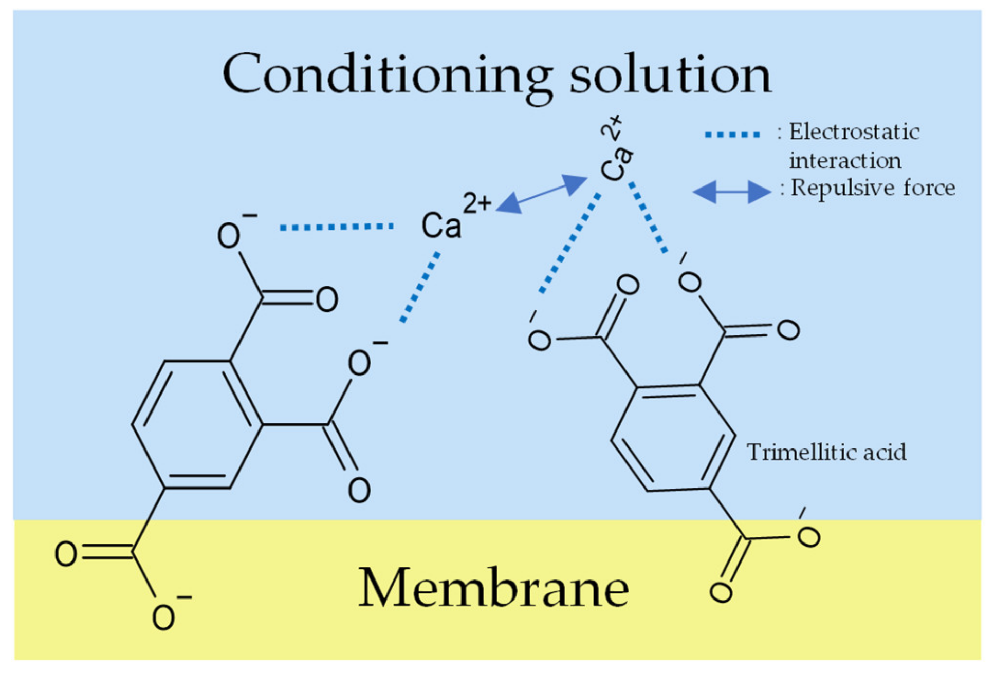 Chemosensors 10 00166 g011