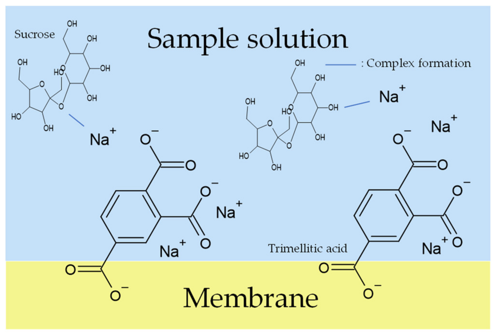 Chemosensors 10 00166 g012