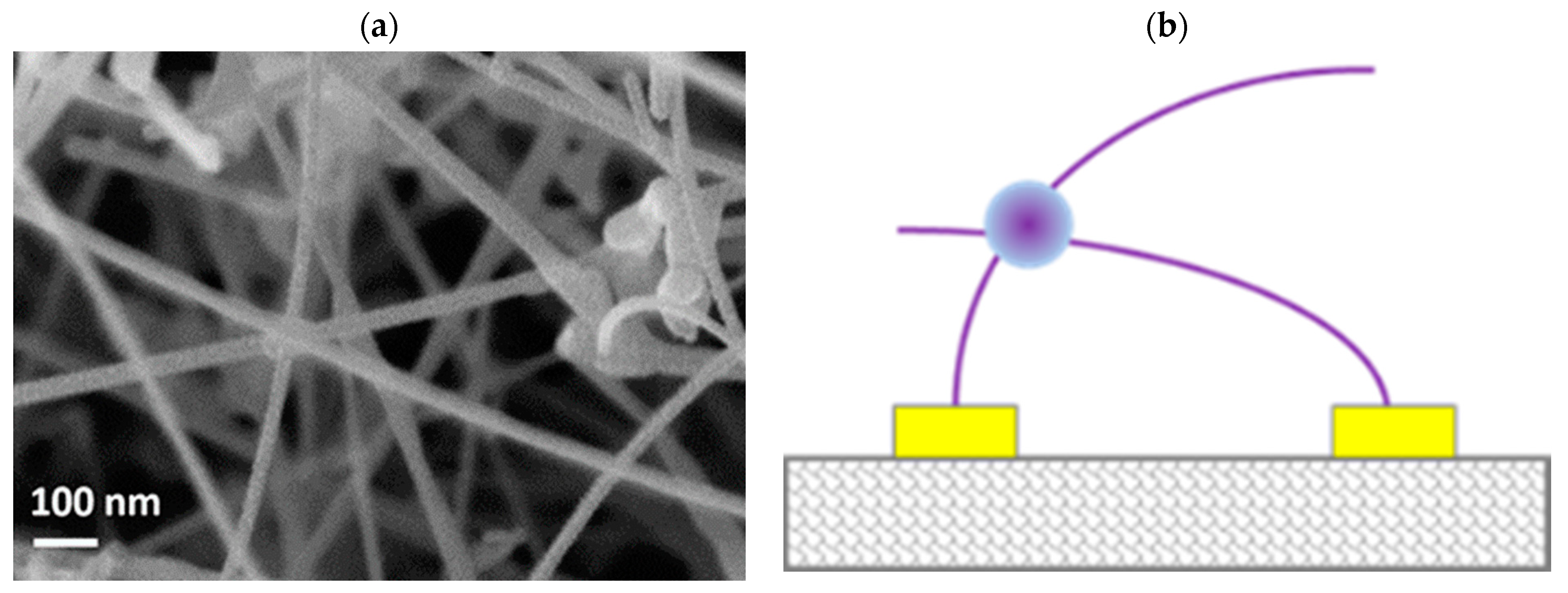 Chemosensors 10 00171 g001