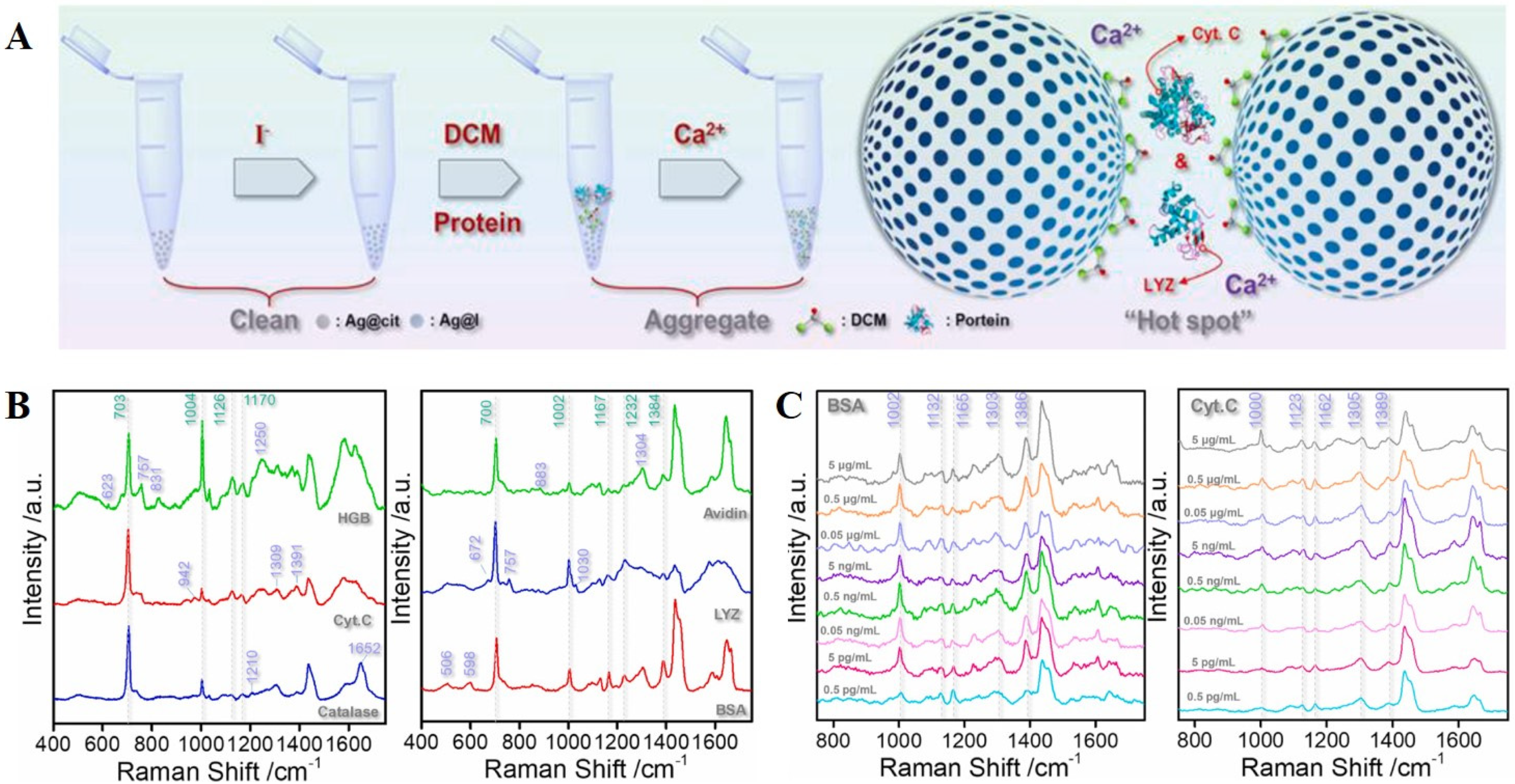 Chemosensors 10 00190 g003