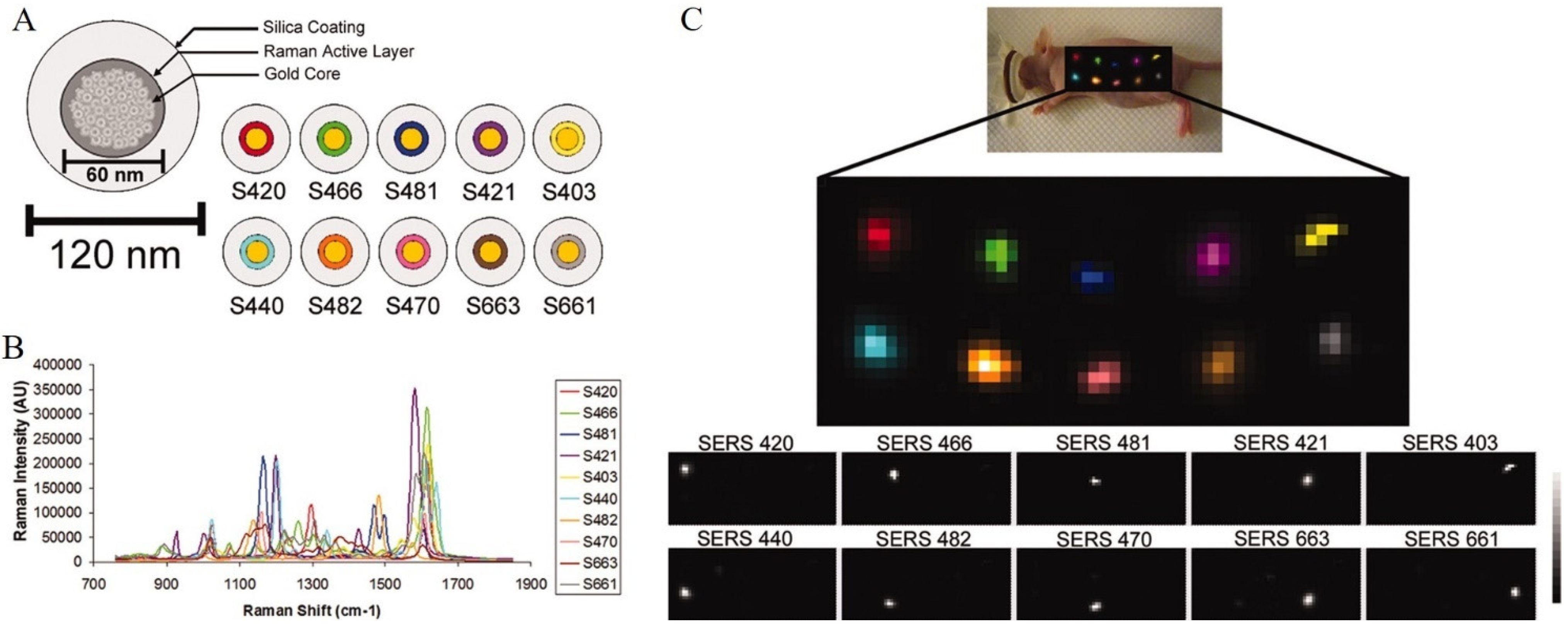 Chemosensors 10 00190 g005