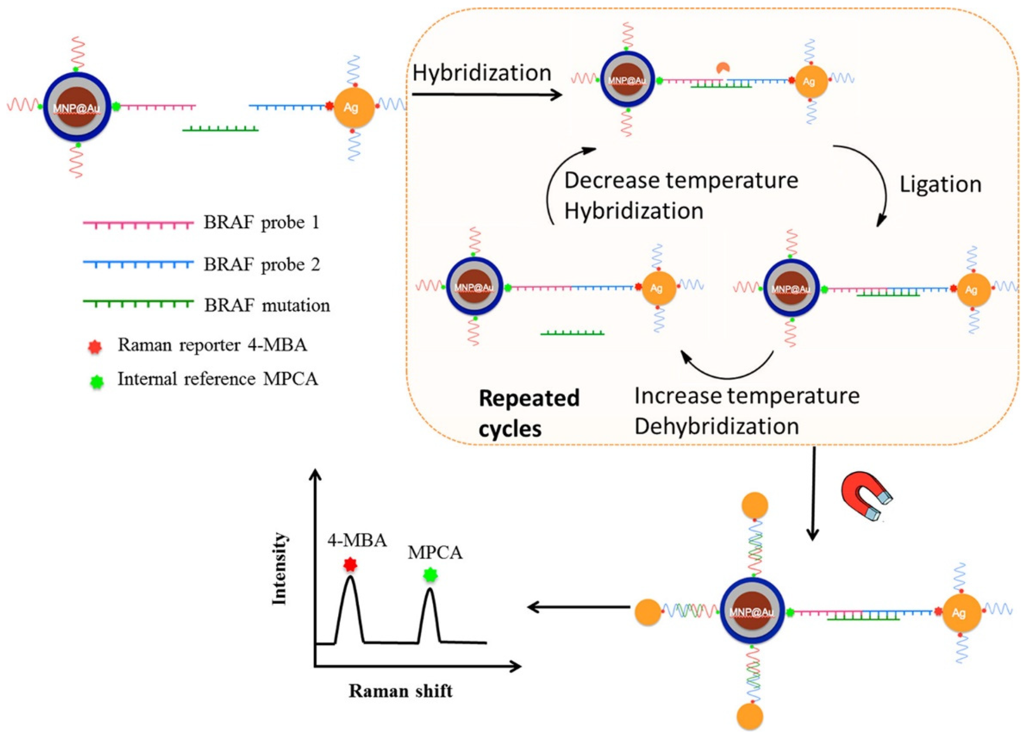 Chemosensors 10 00190 g006