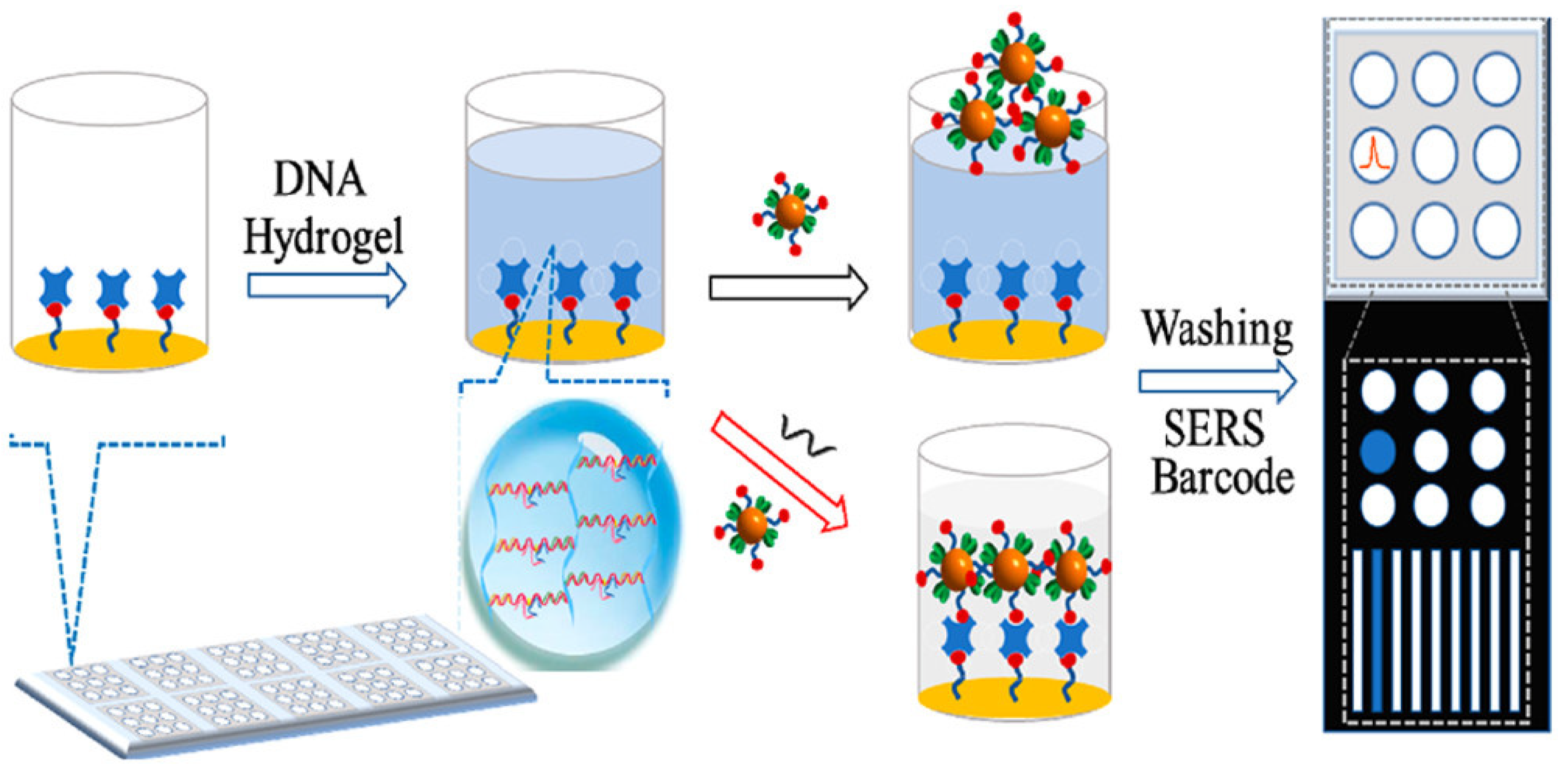 Chemosensors Free Full Text How Surface Enhanced Raman Spectroscopy