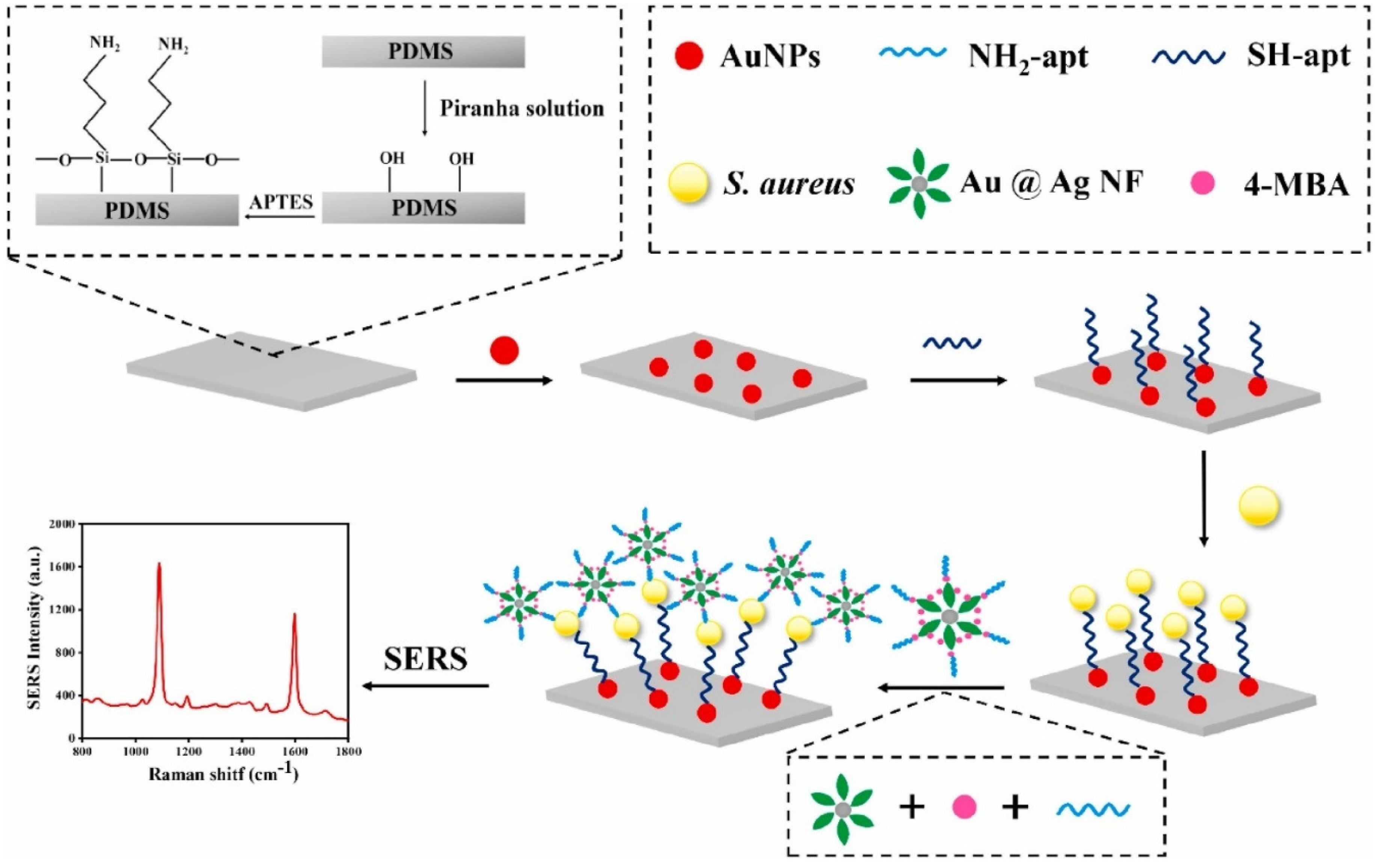 Chemosensors Free Full Text How Surface Enhanced Raman Spectroscopy