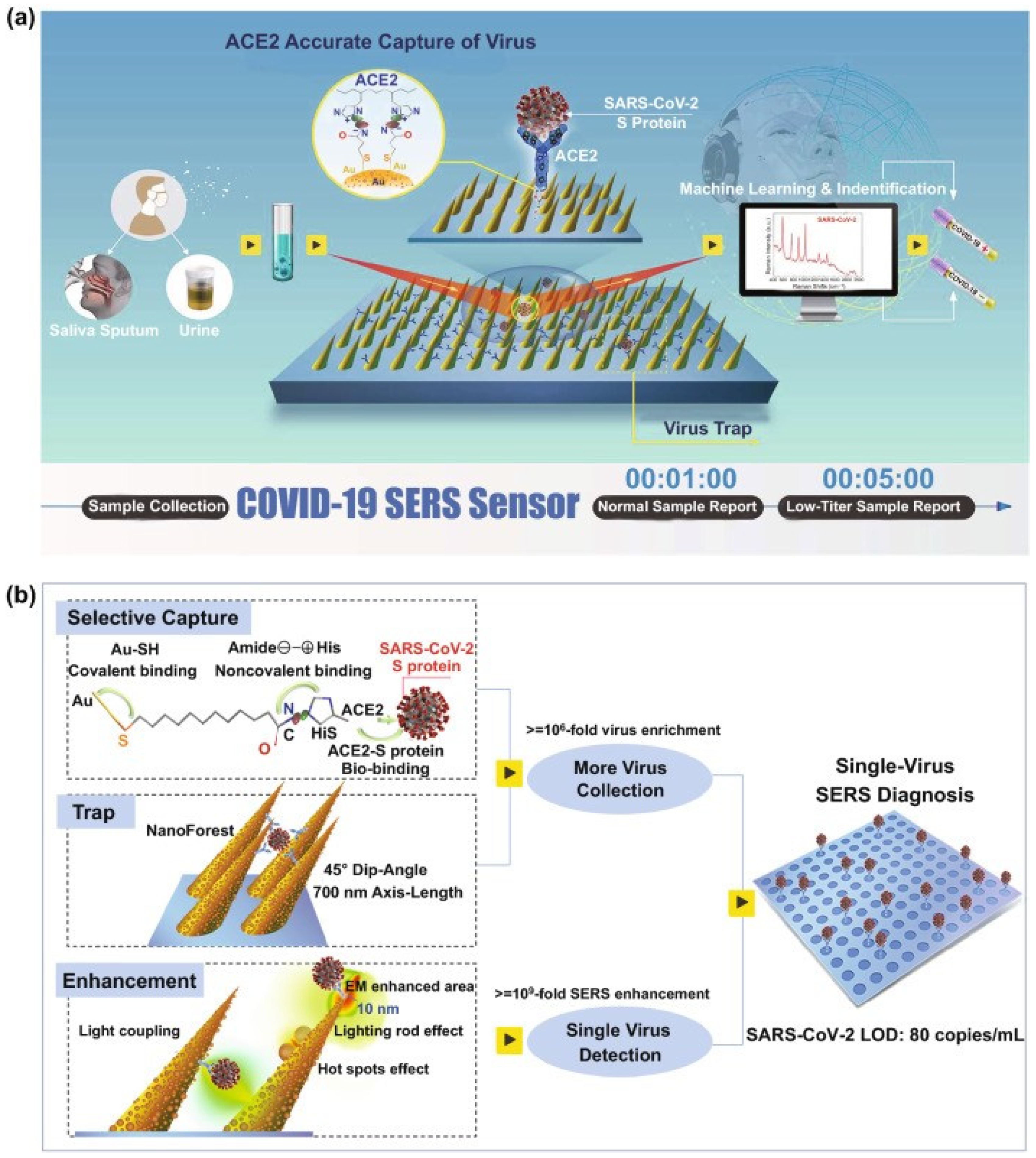 Chemosensors 10 00190 g014