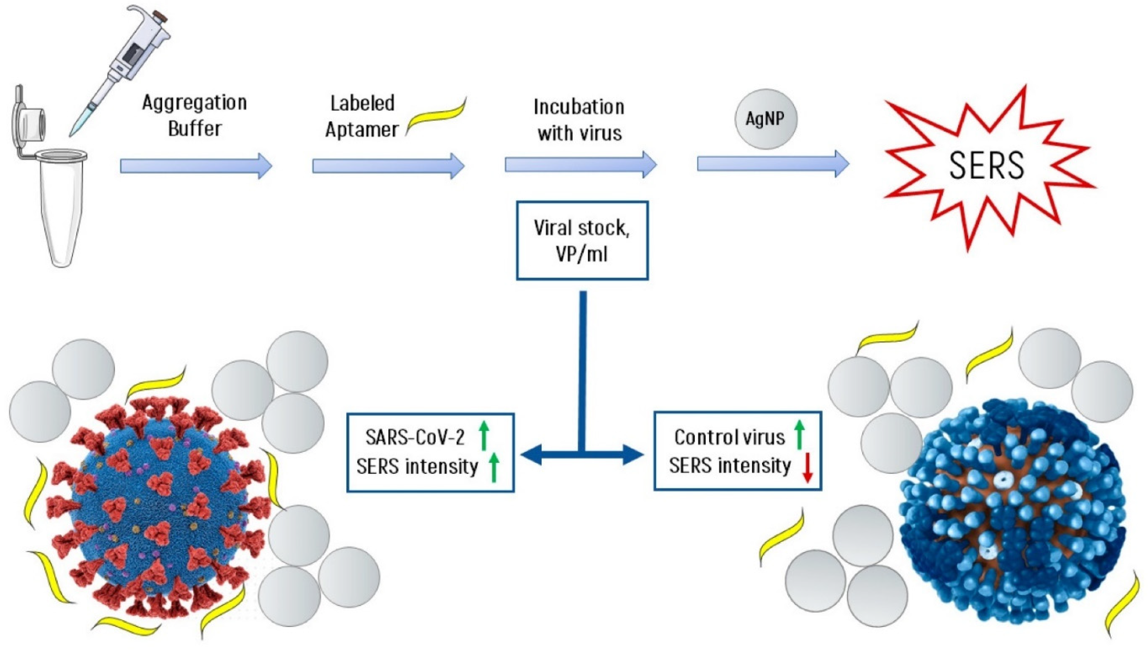 Chemosensors 10 00190 g015