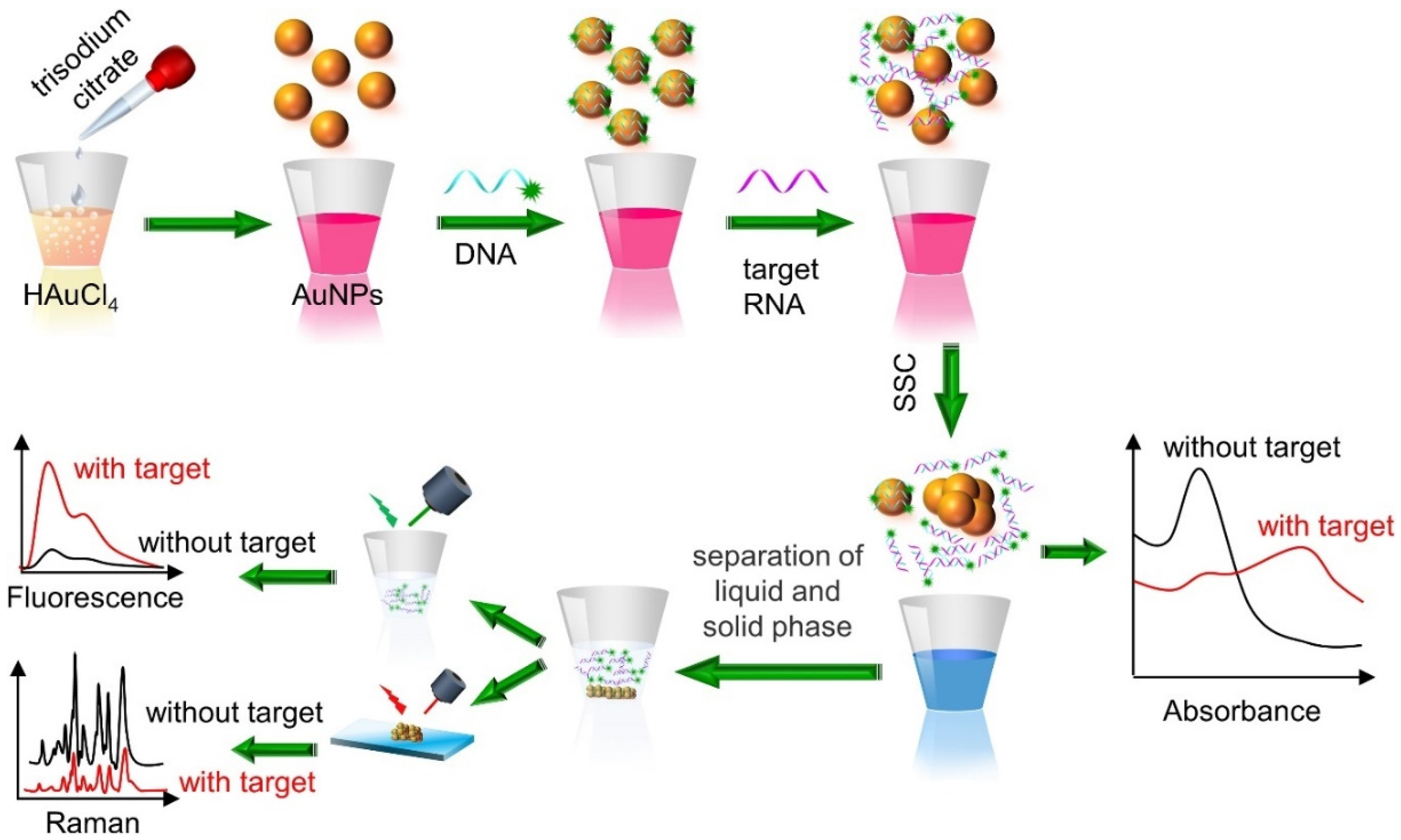 Chemosensors 10 00190 g016