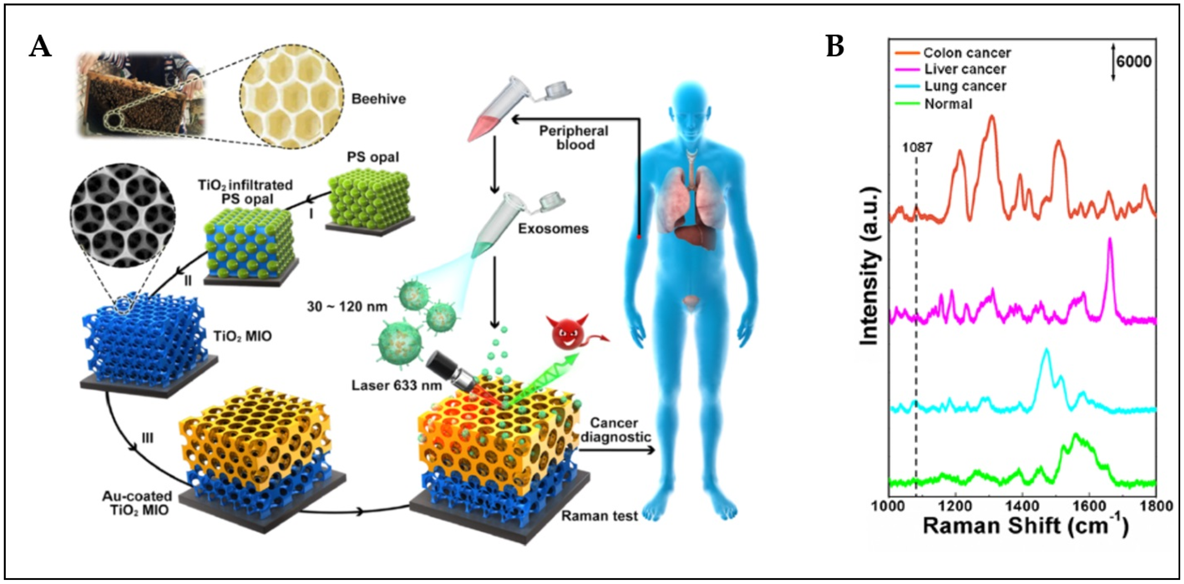 Chemosensors 10 00190 g017