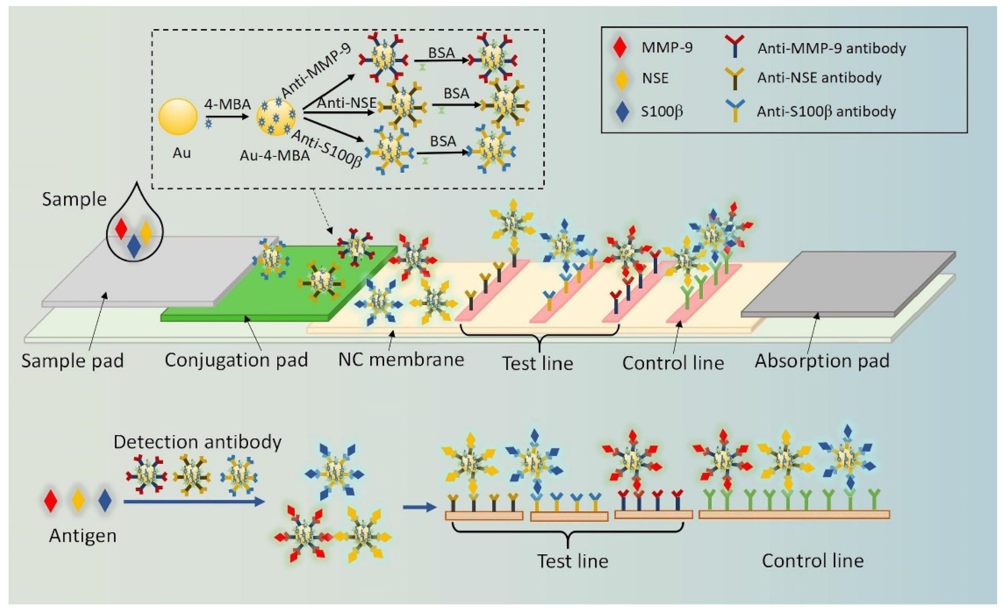 Chemosensors 10 00190 g019