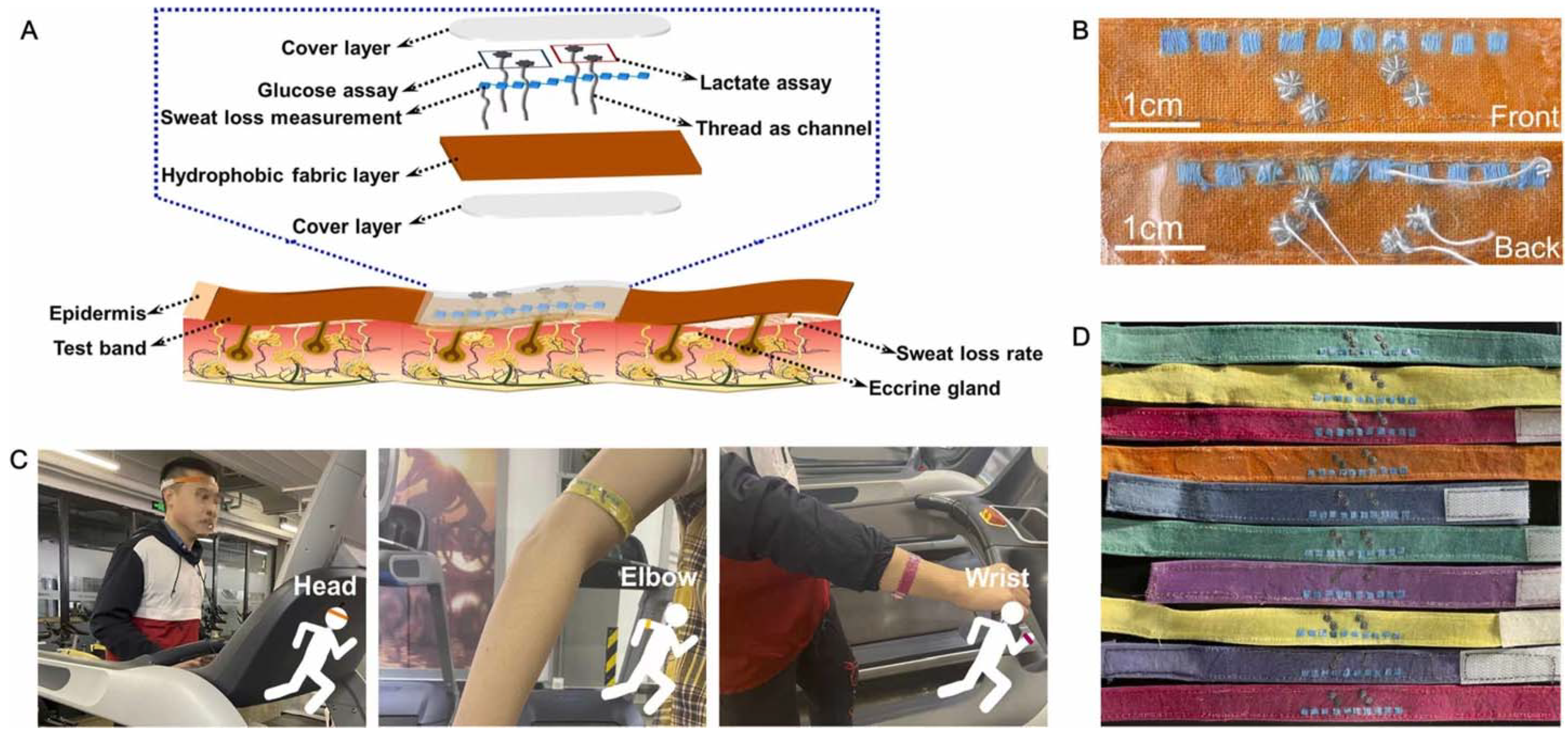 Chemosensors 10 00190 g020