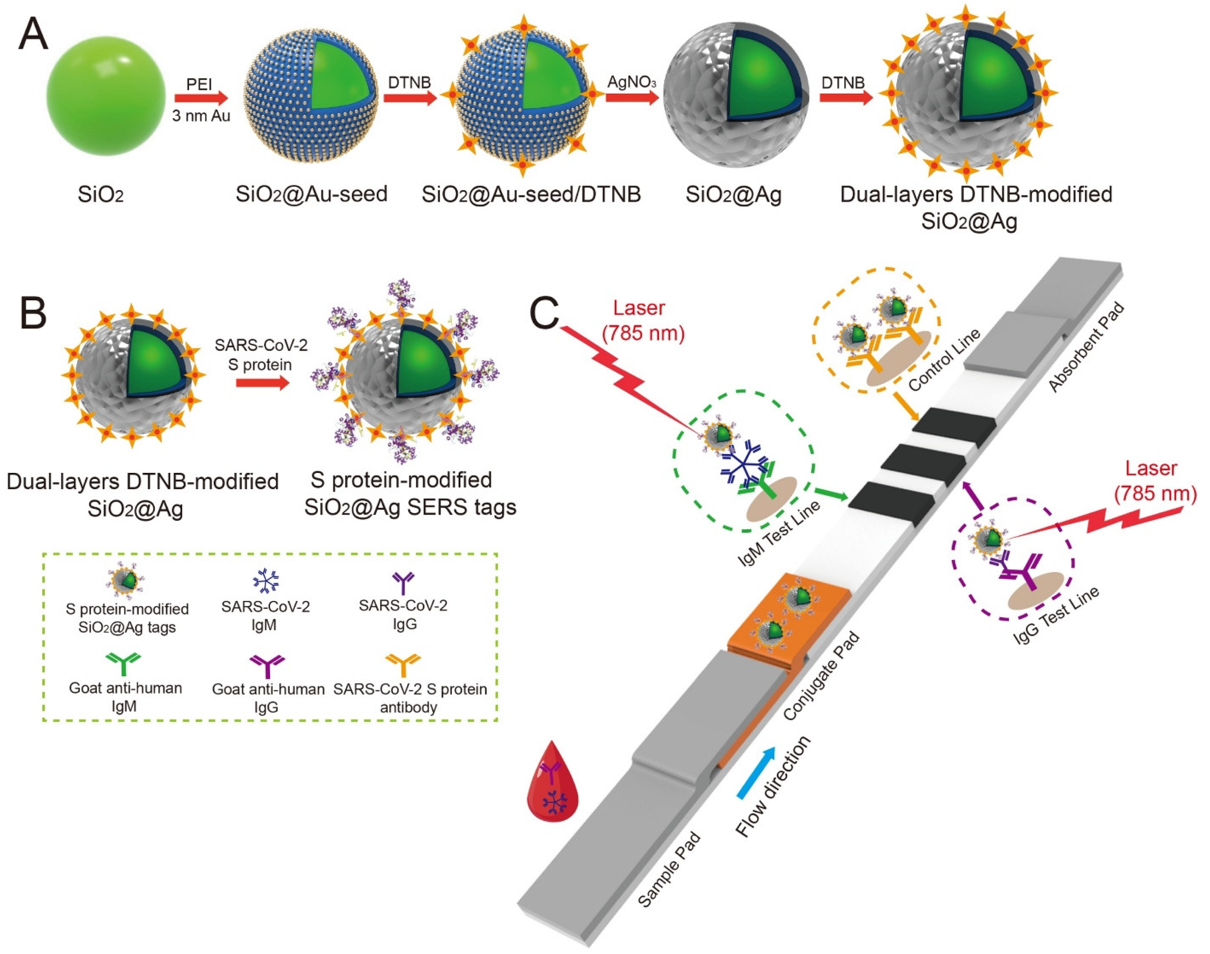 Chemosensors 10 00190 g022