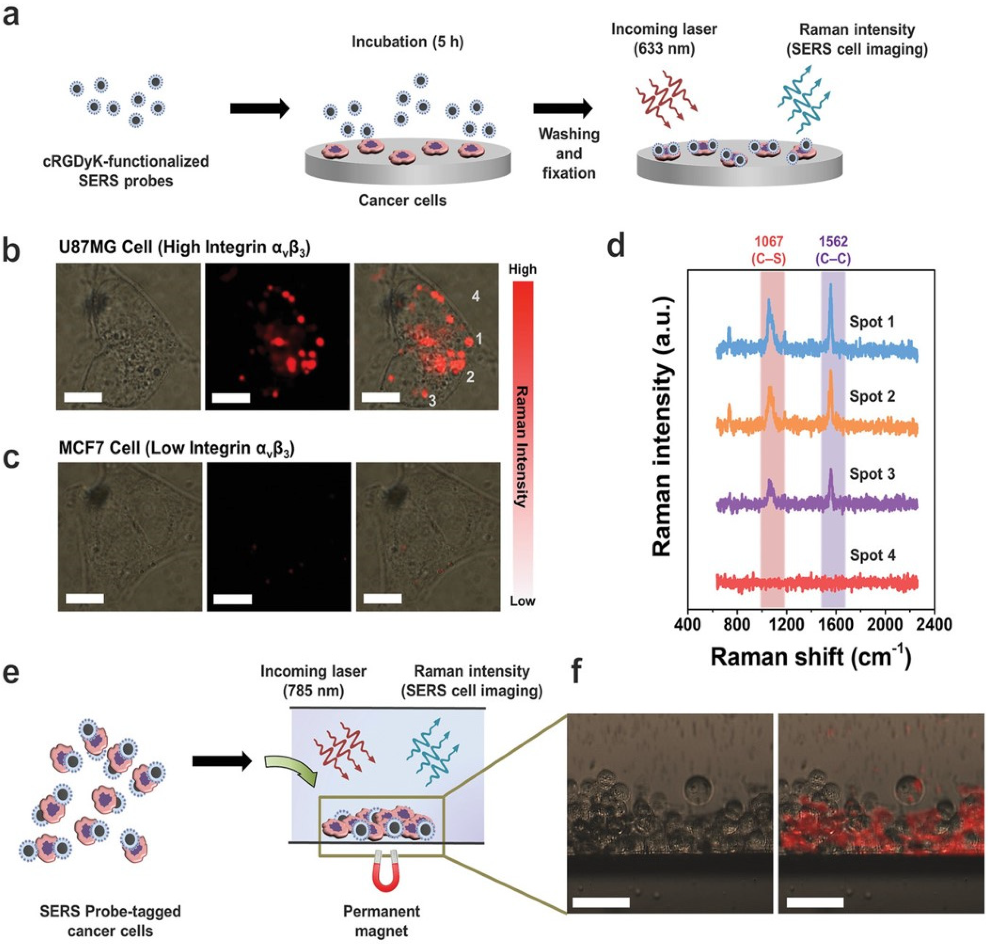 Chemosensors 10 00190 g024