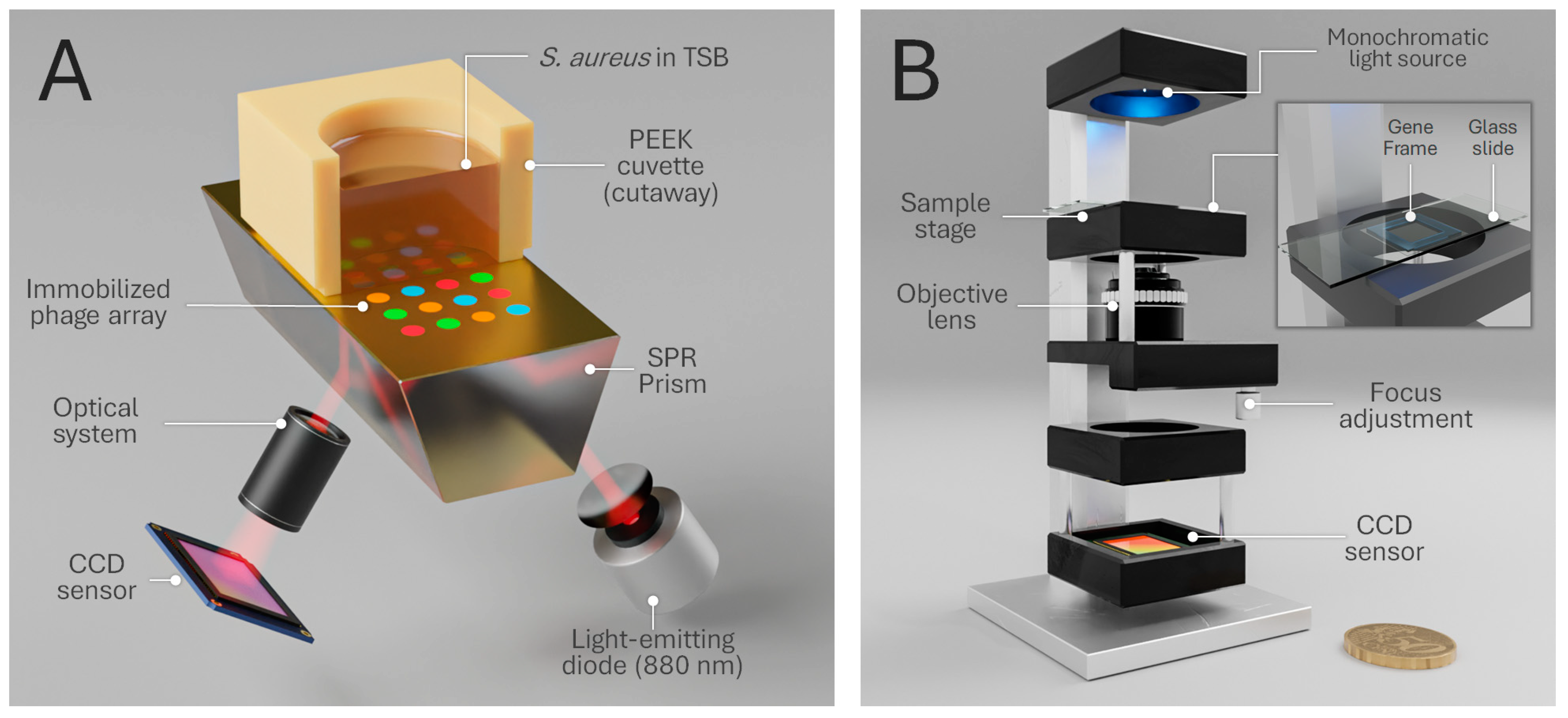 Chemosensors 10 00192 g001