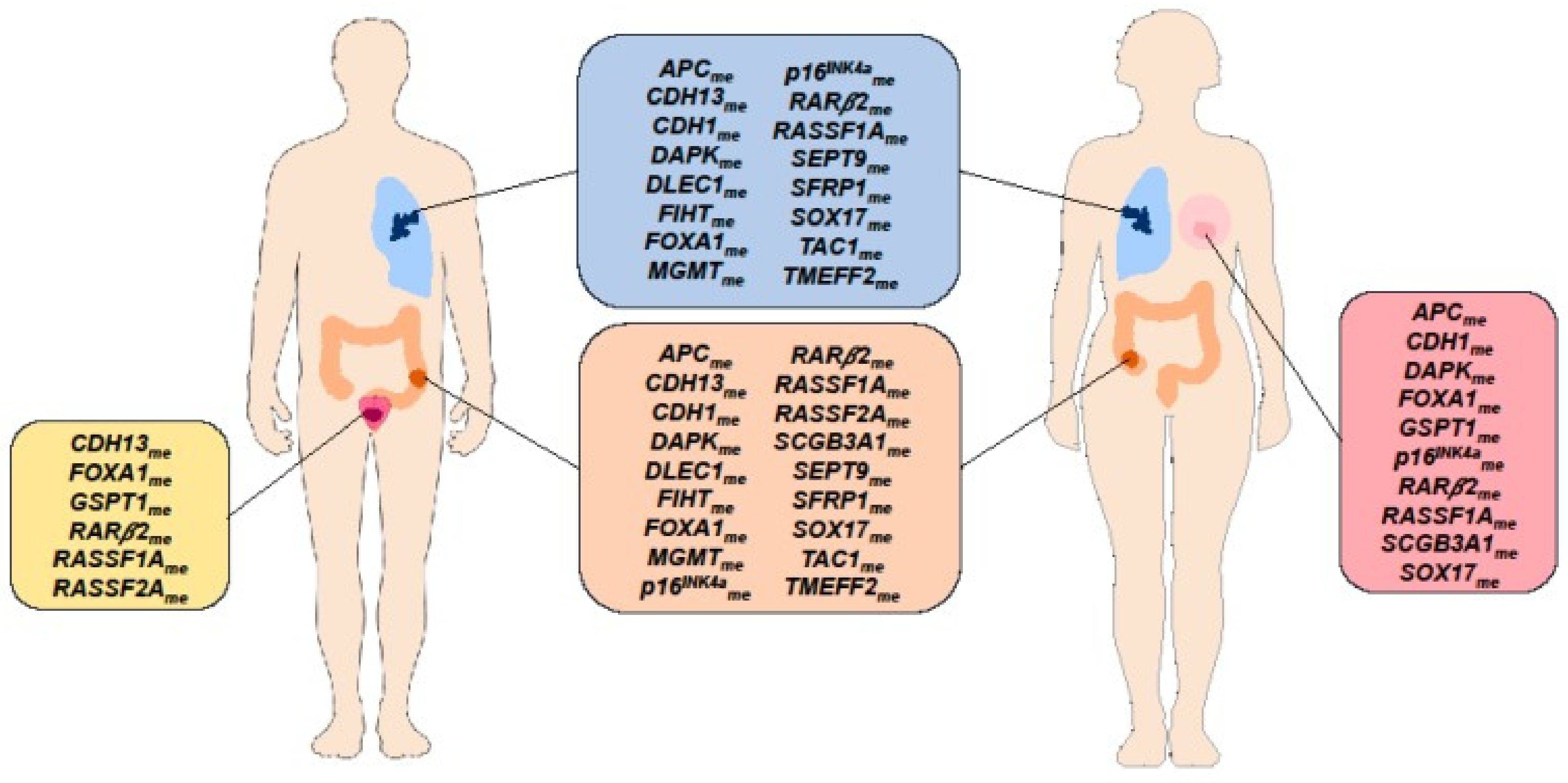 Chemosensors Free Full Text State Of The Art Of Chemosensors In A Biomedical Context Html