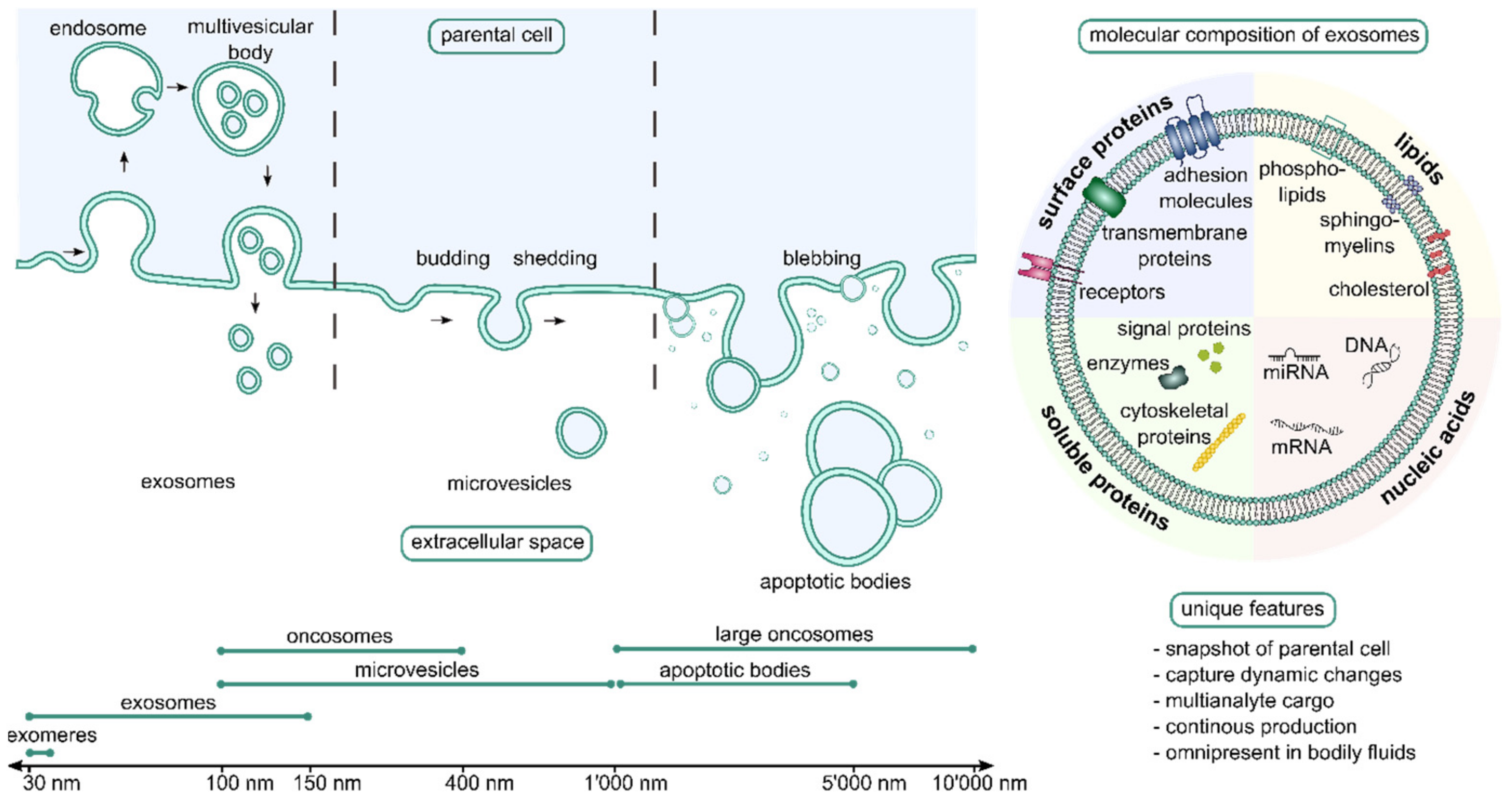 Chemosensors 10 00199 g011