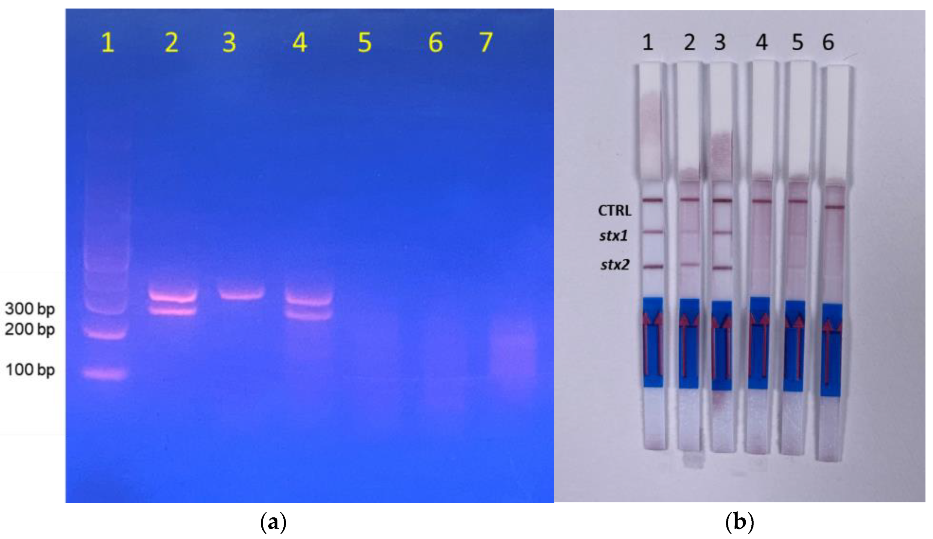 Chemosensors 10 00210 g002 Chemosensors 10 00210 g002