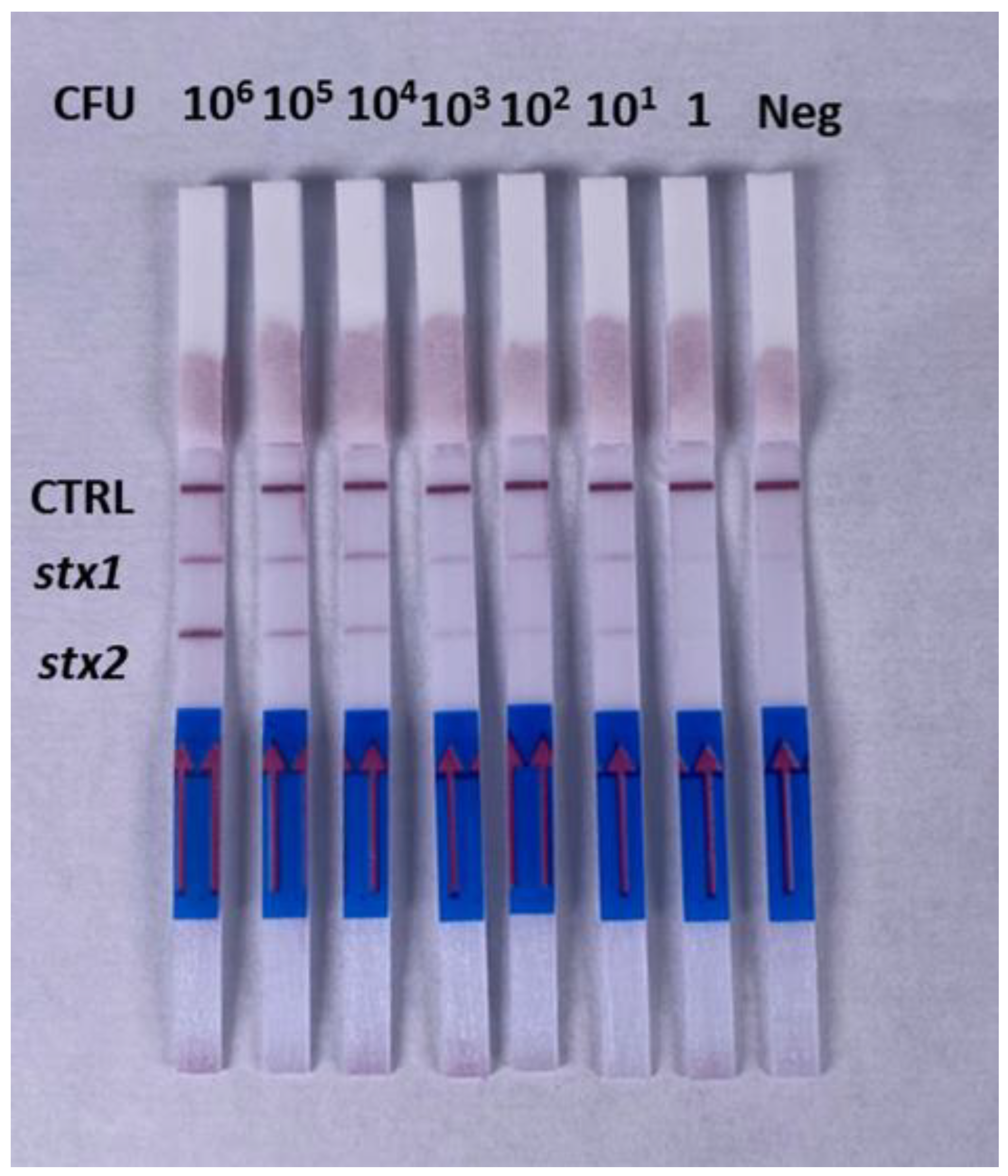 Chemosensors 10 00210 g005 Chemosensors 10 00210 g005