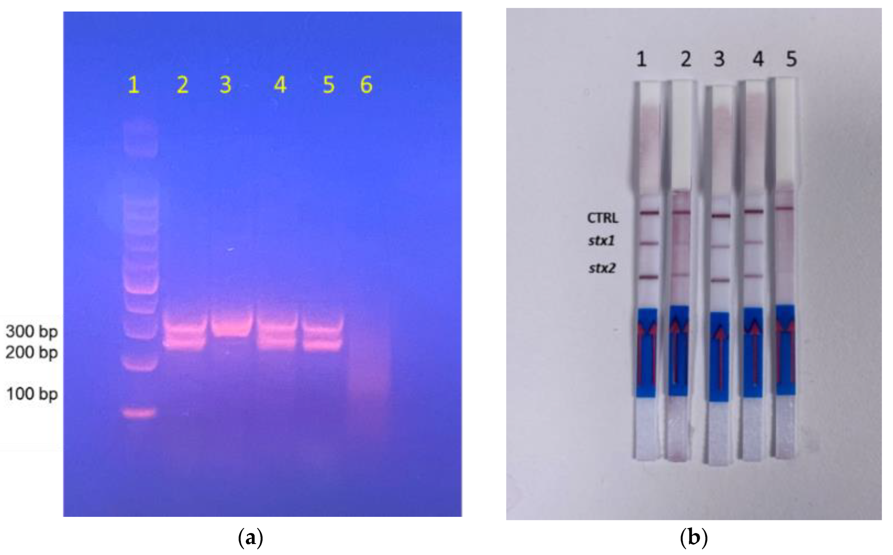 Chemosensors 10 00210 g007 Chemosensors 10 00210 g007