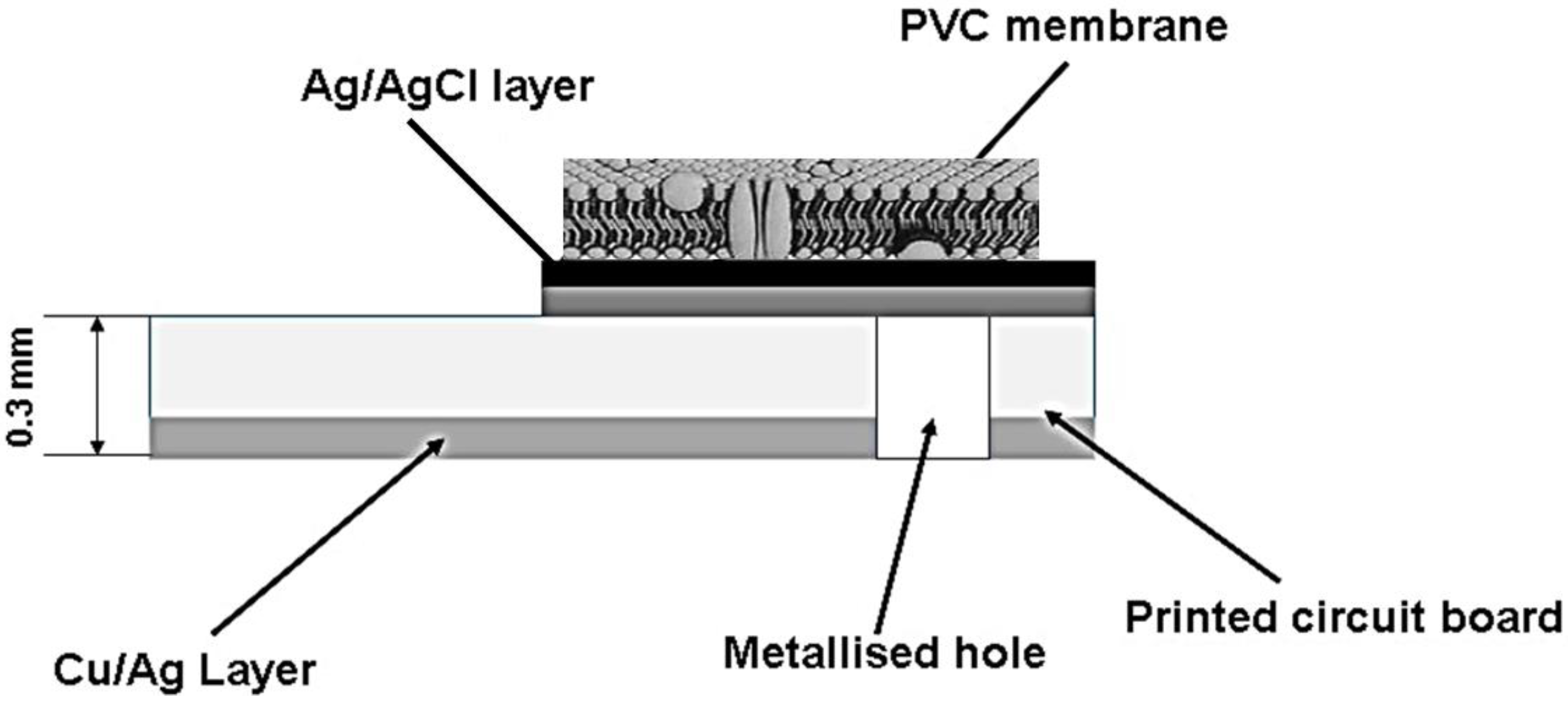 Chemosensors 10 00216 g001
