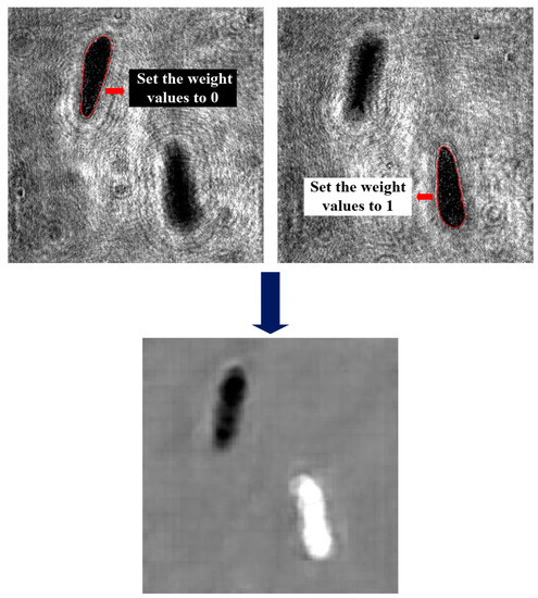 Holographic microscopy shows potential as a red tide warning system