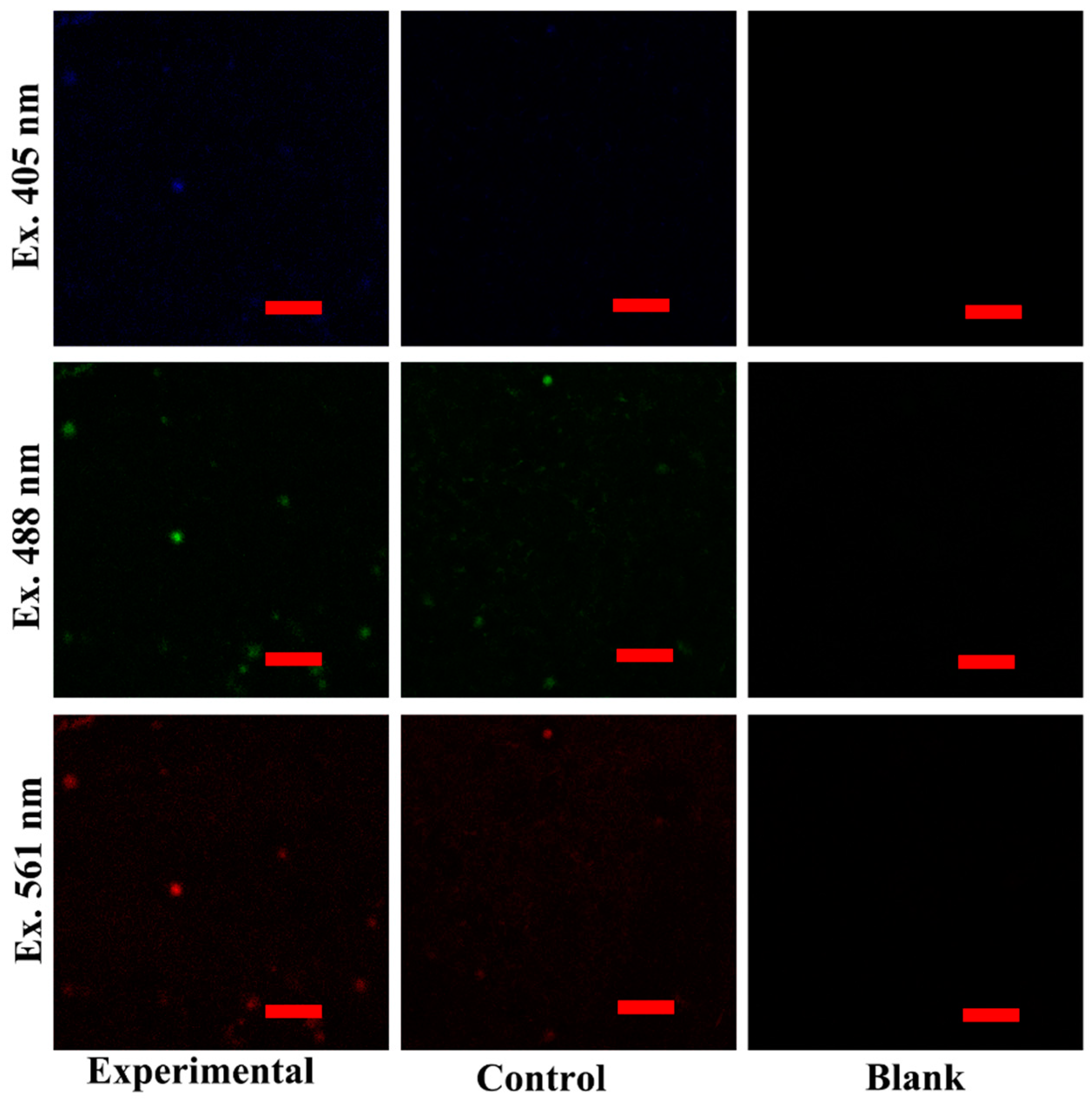 Chemosensors 10 00219 g005