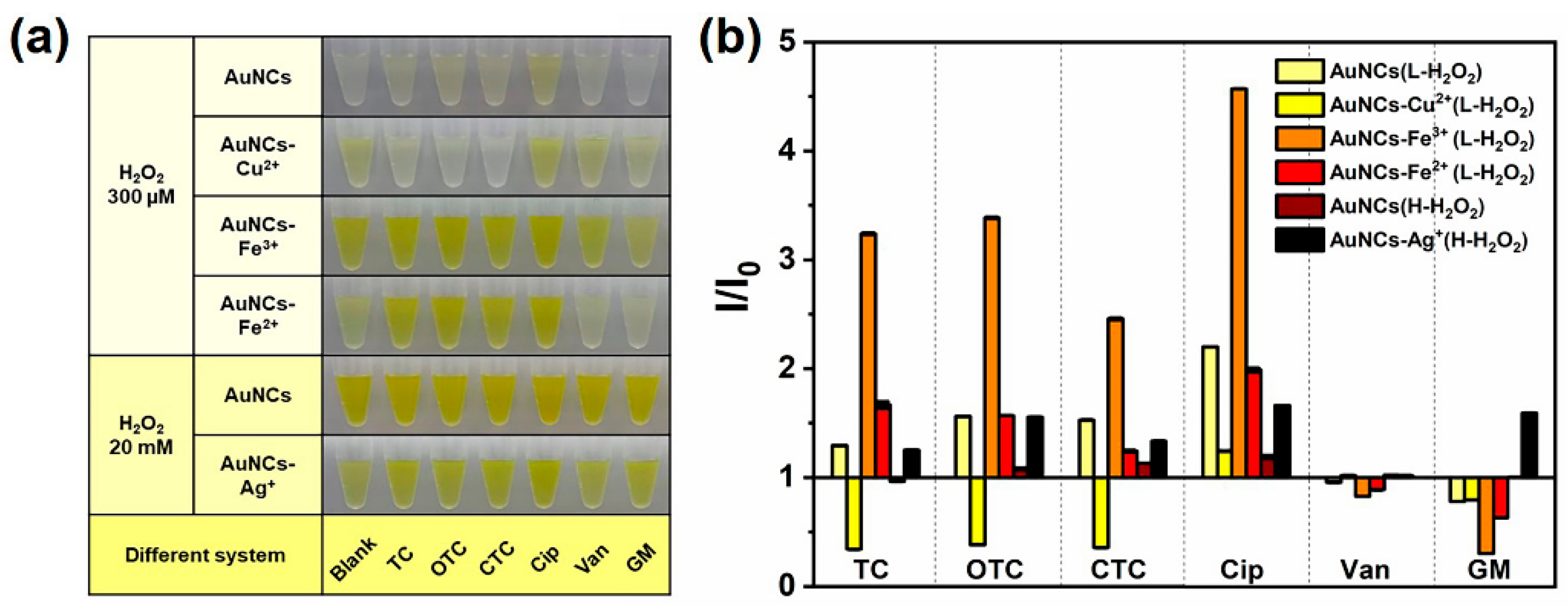 Chemosensors 10 00222 g002