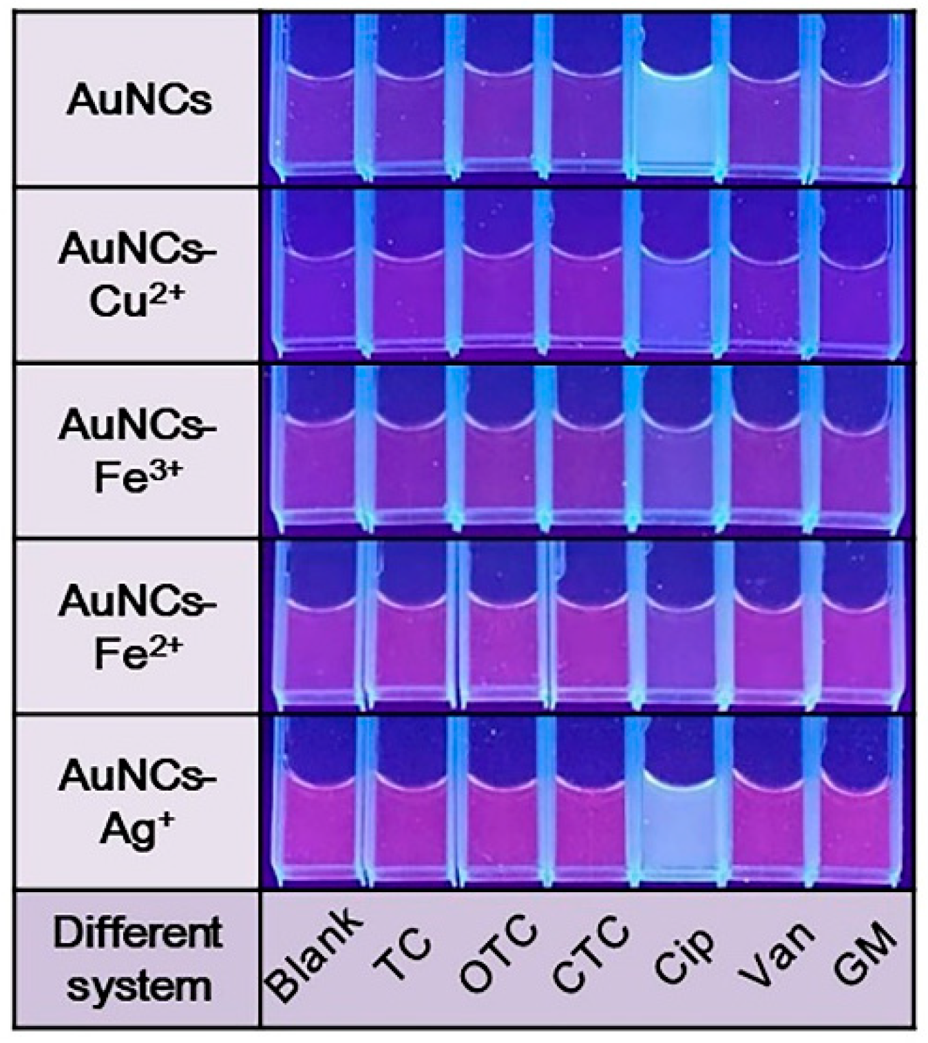Chemosensors 10 00222 g003