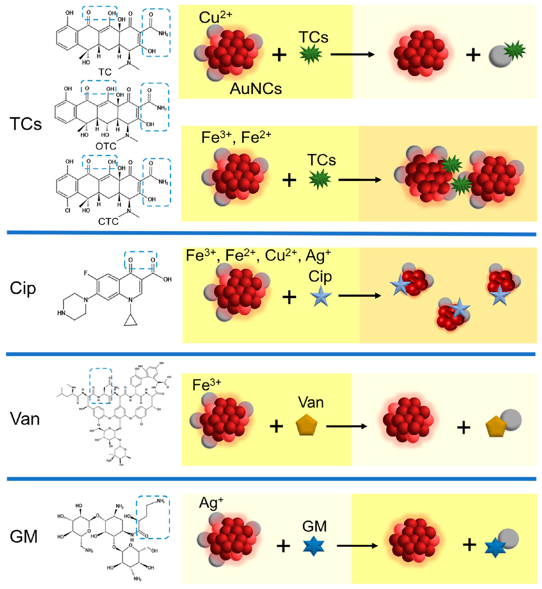 Chemosensors 10 00222 sch002