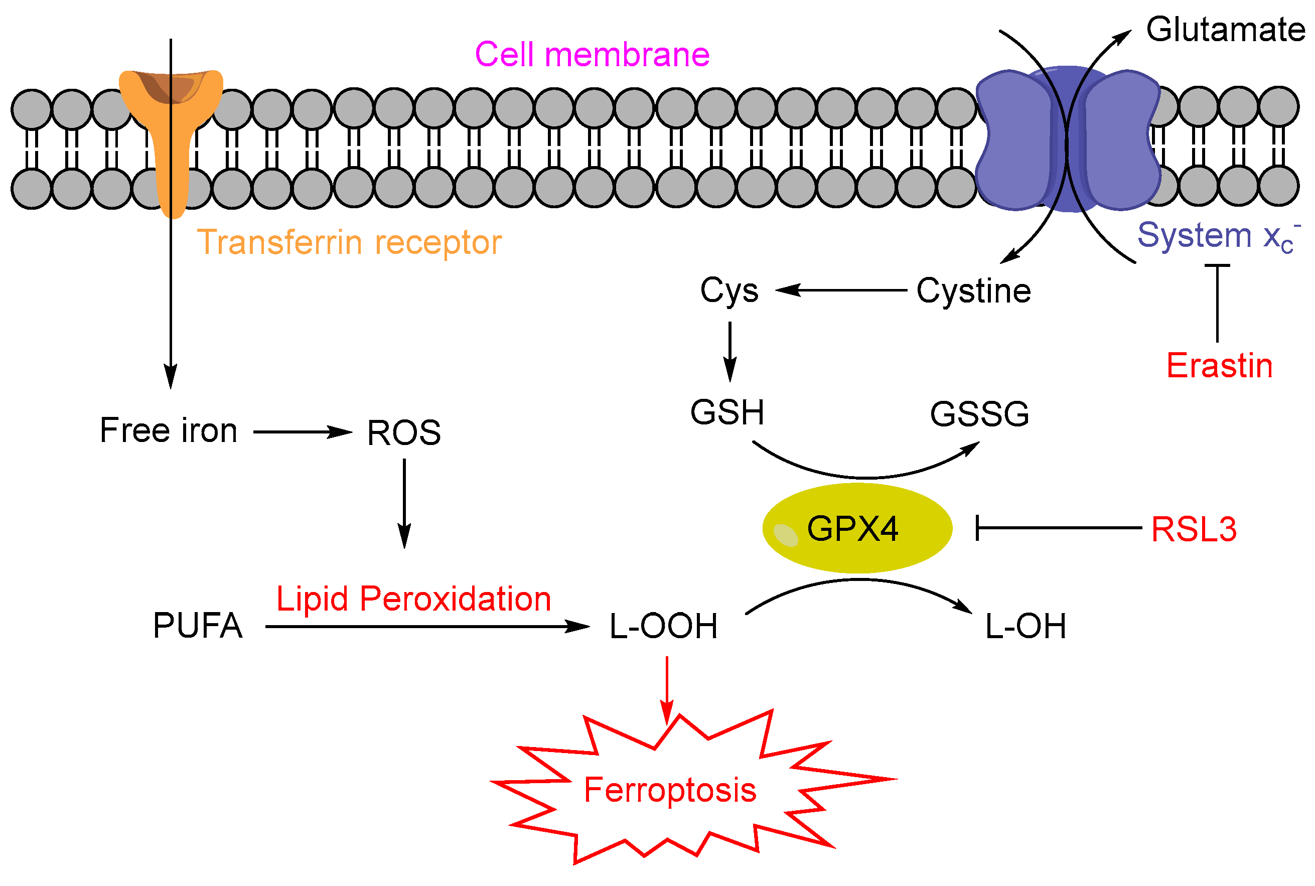 Chemosensors | Free Full-Text | Recent Advances of Fluorescence