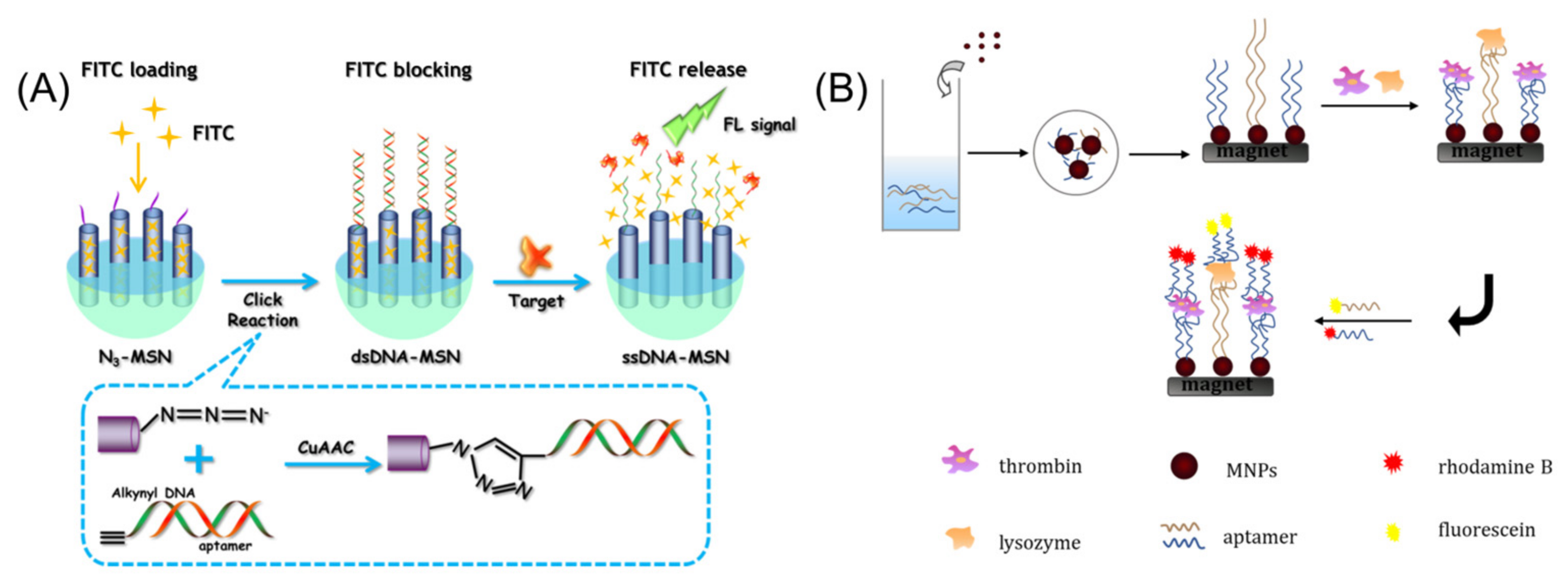Chemosensors 10 00255 g002