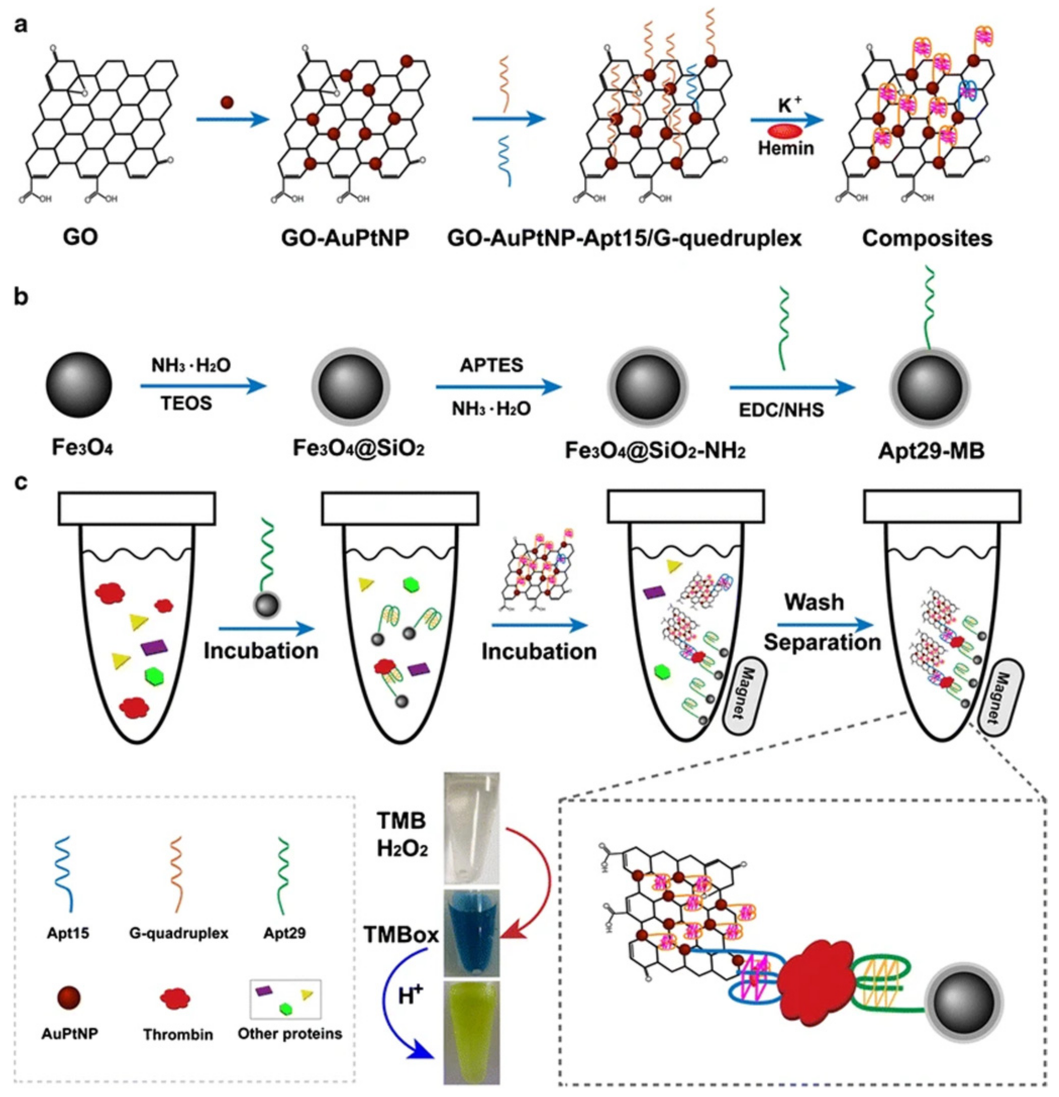 Chemosensors 10 00255 g003
