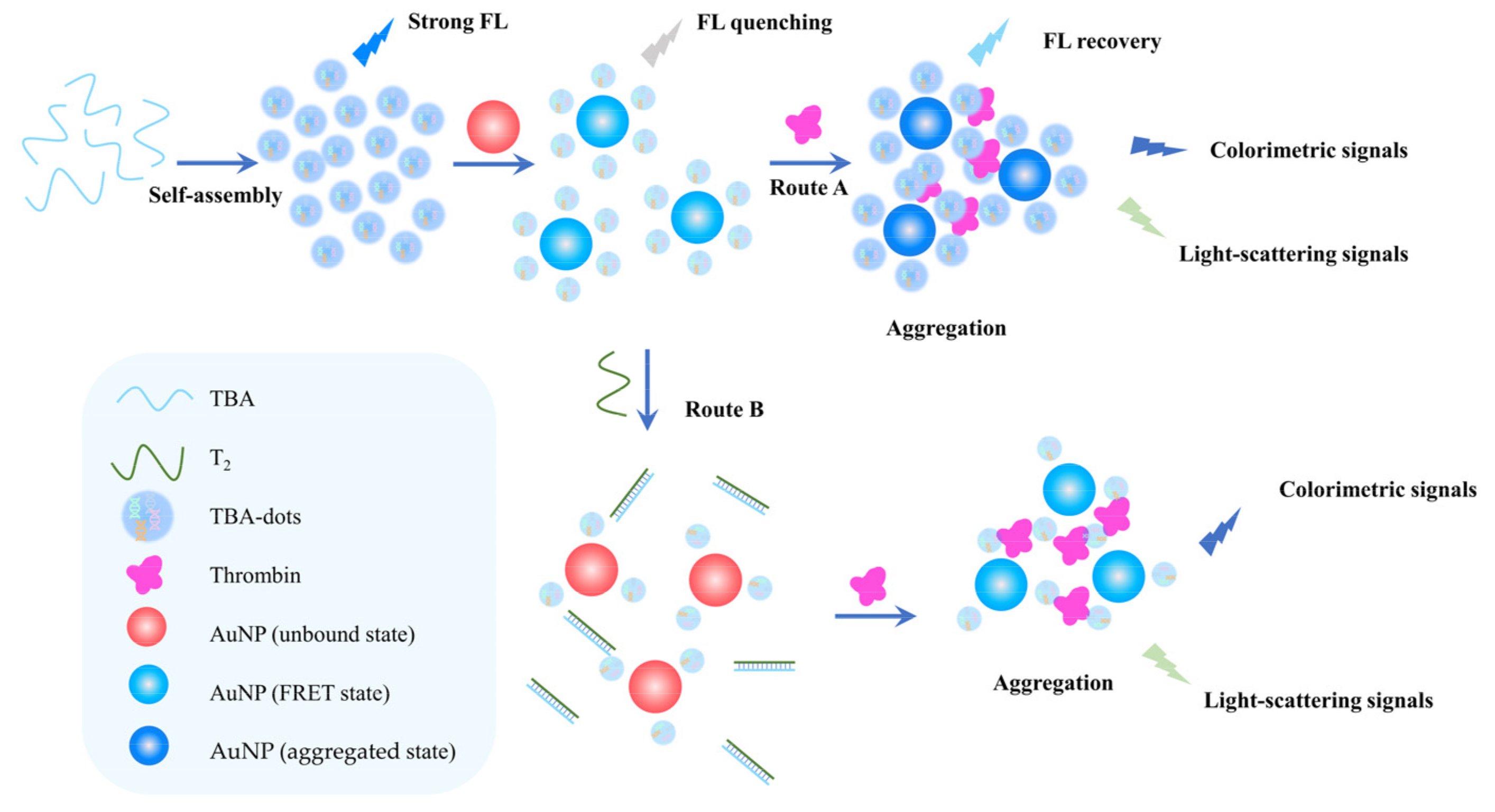 Chemosensors 10 00255 g004