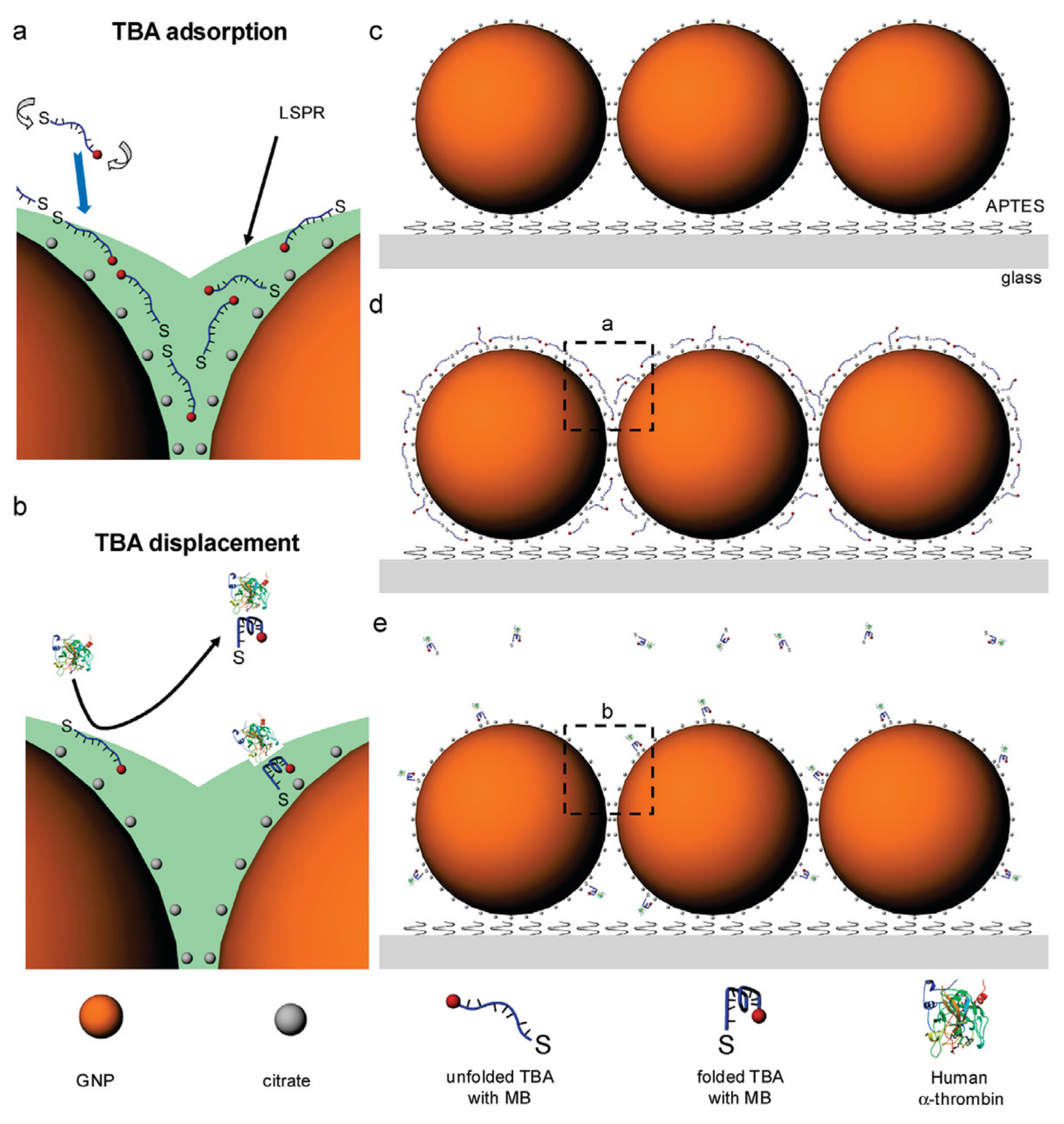 Chemosensors 10 00255 g006