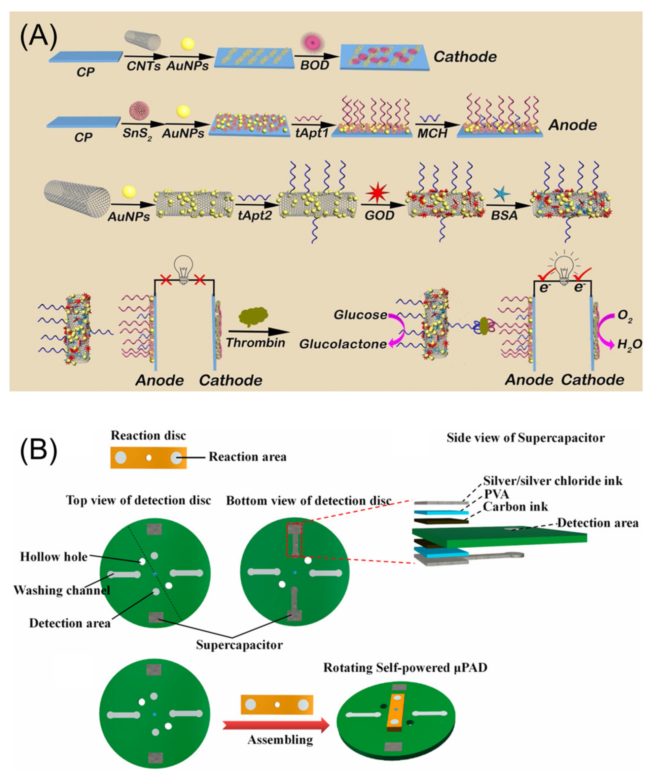 Chemosensors 10 00255 g009