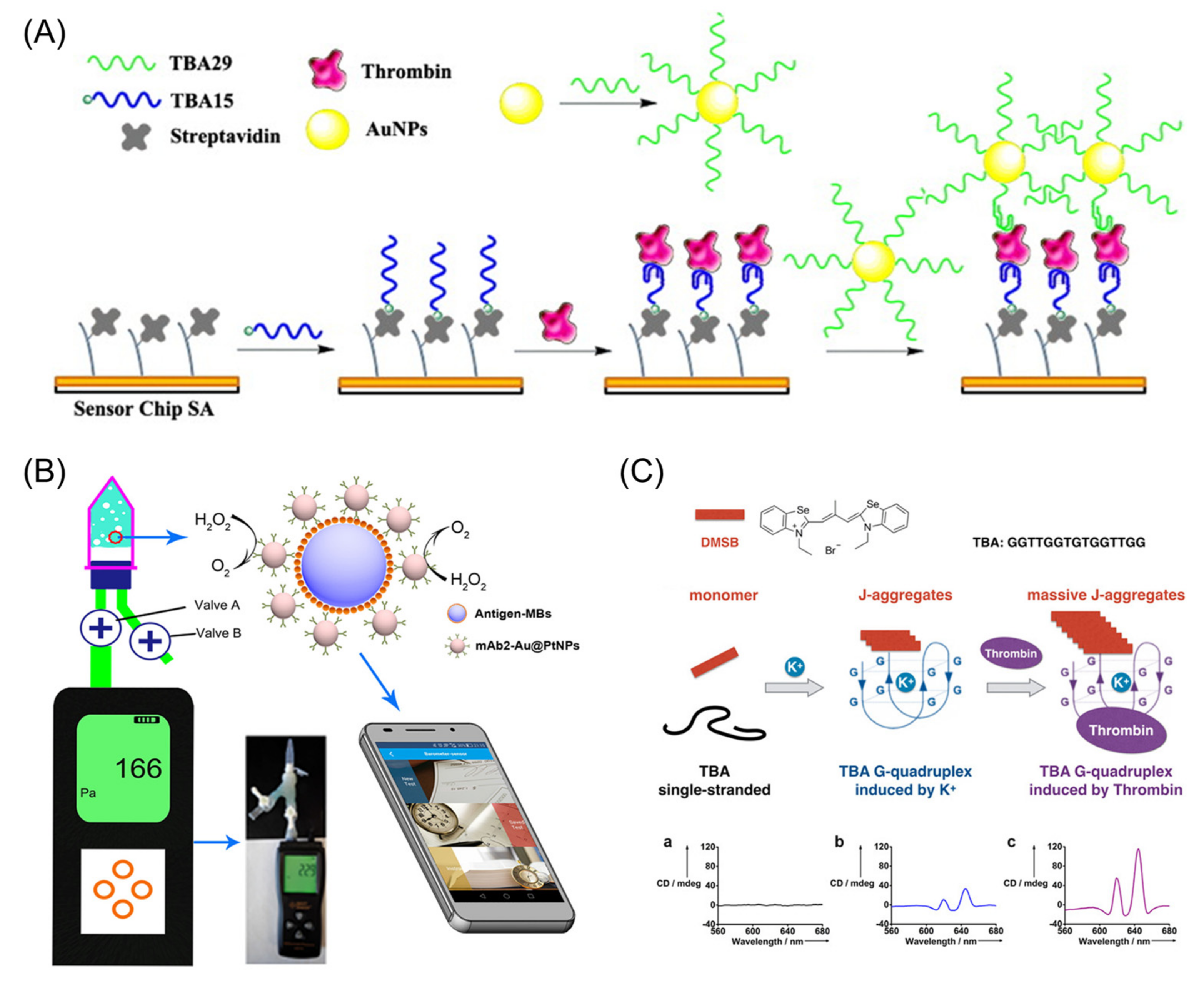 Chemosensors 10 00255 g010
