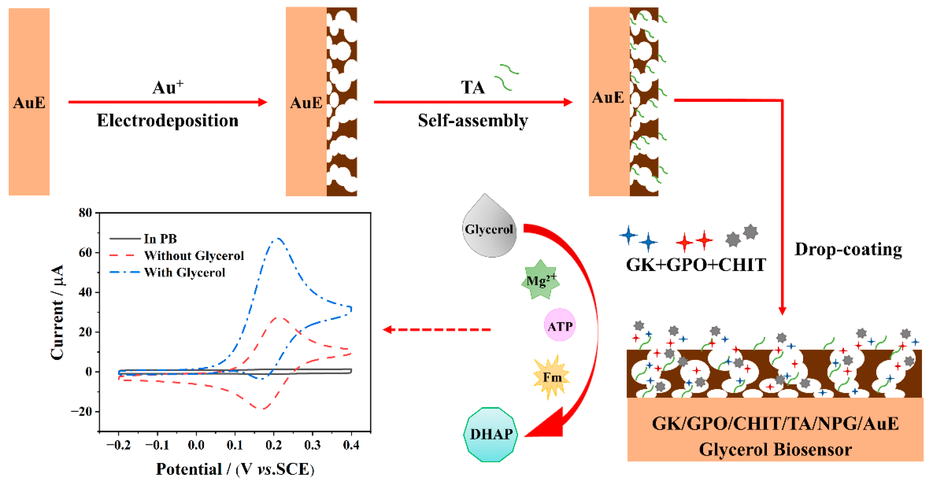 Chemosensors 10 00258 g001