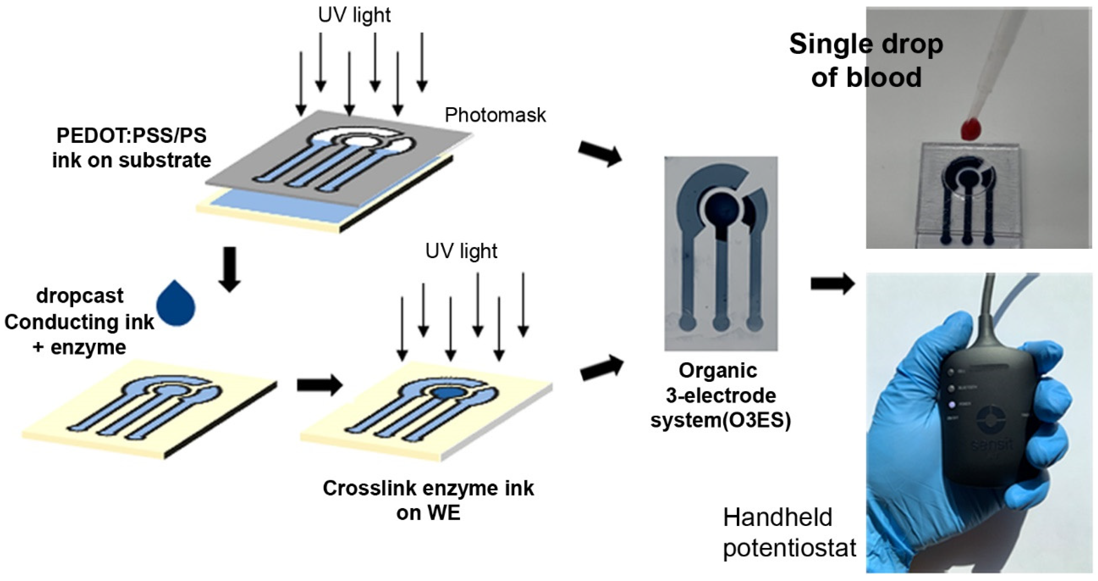 Electrochemical Portable Method for on site Screening of