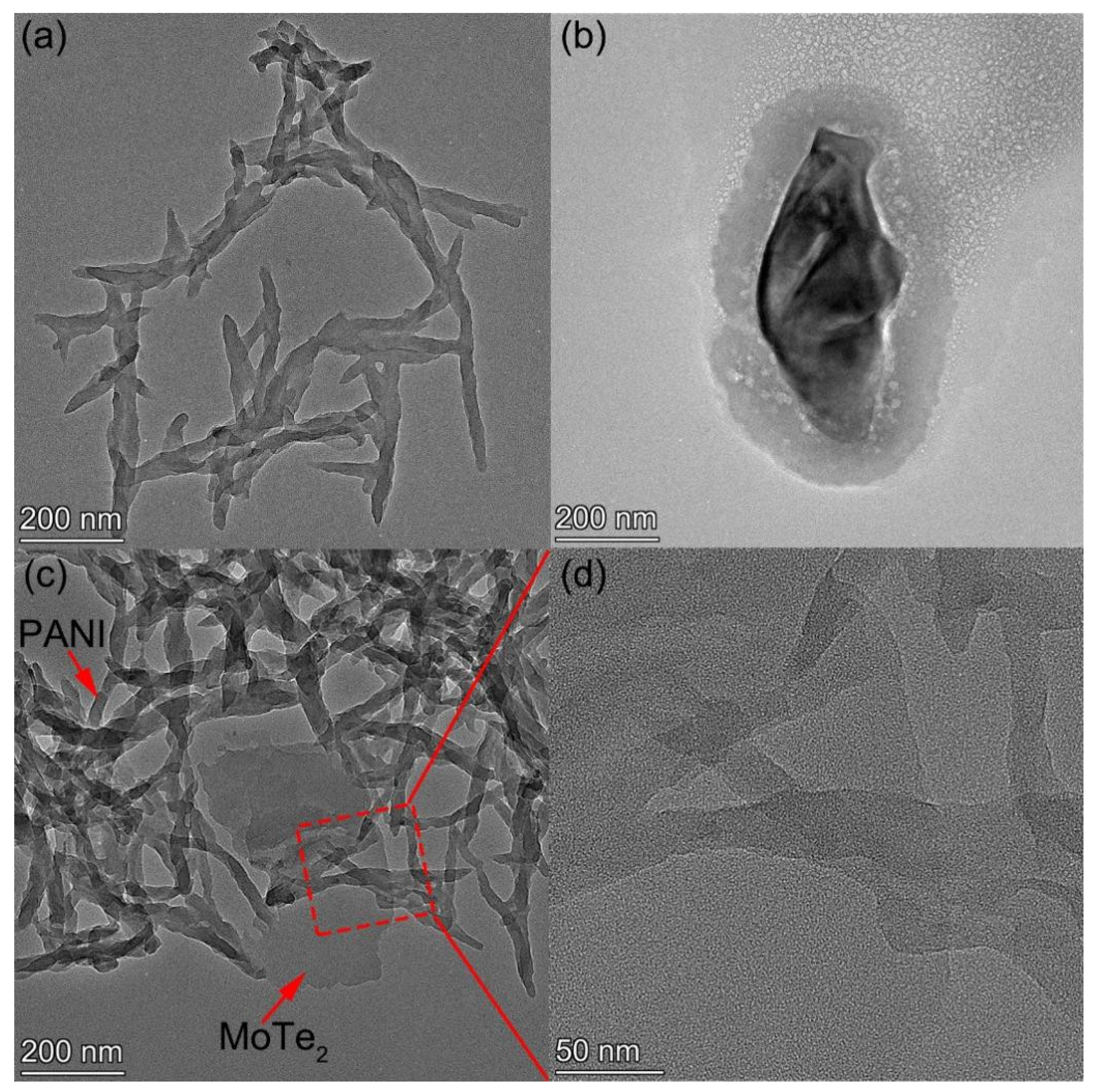 Chemosensors 10 00264 g003