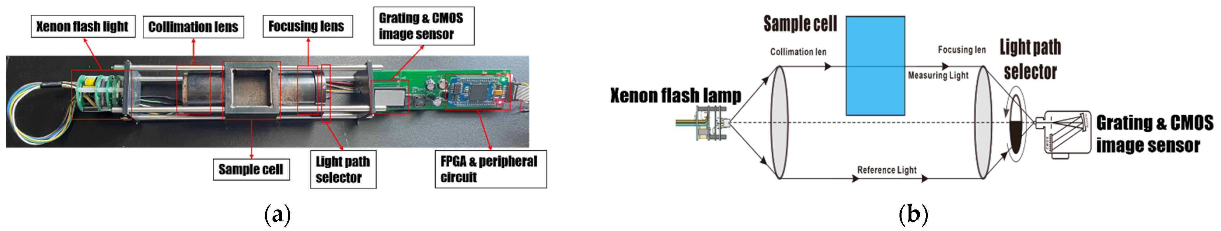 Chemosensors 10 00282 g001