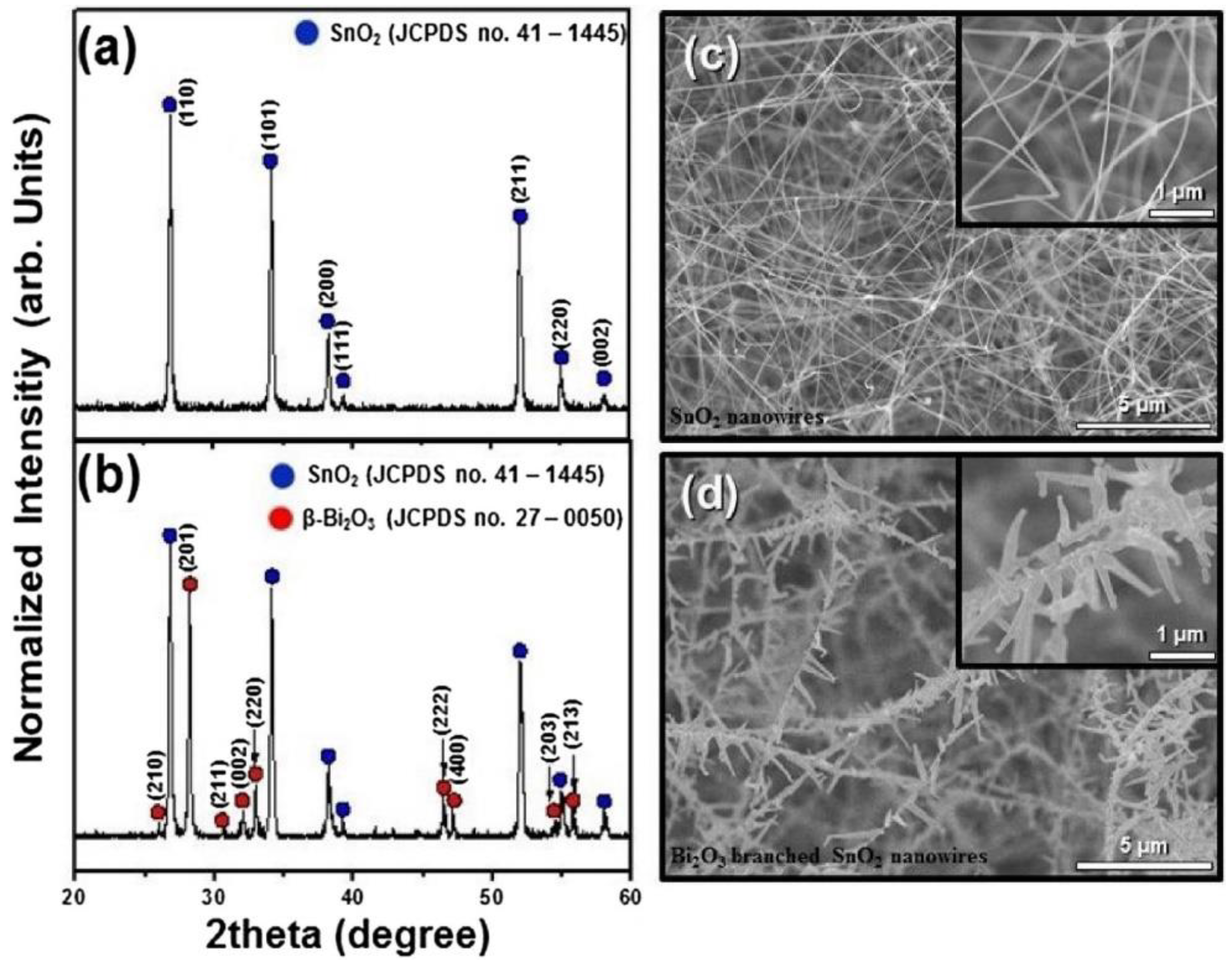 Chemosensors 10 00289 g005