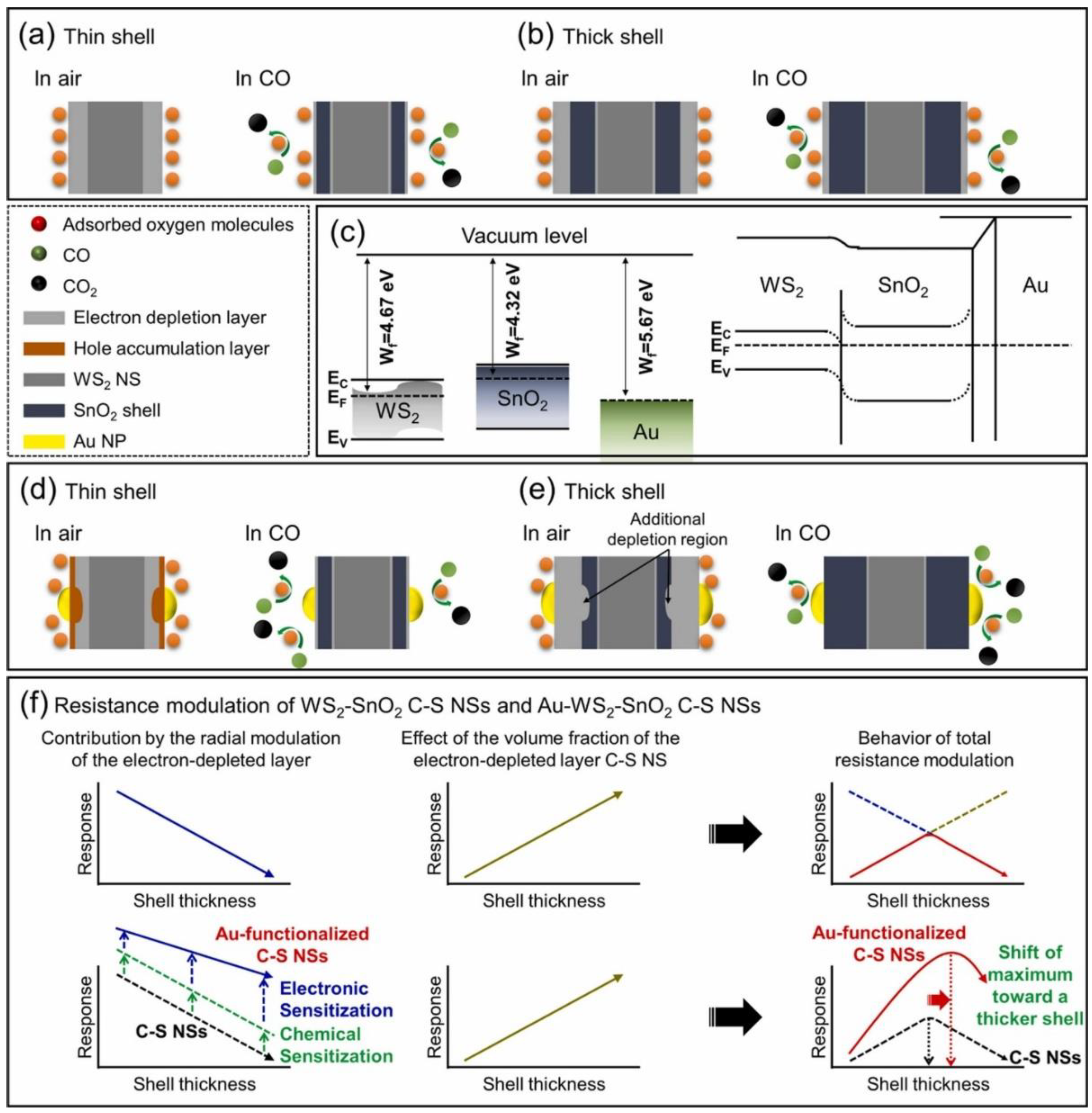 Chemosensors 10 00289 g011