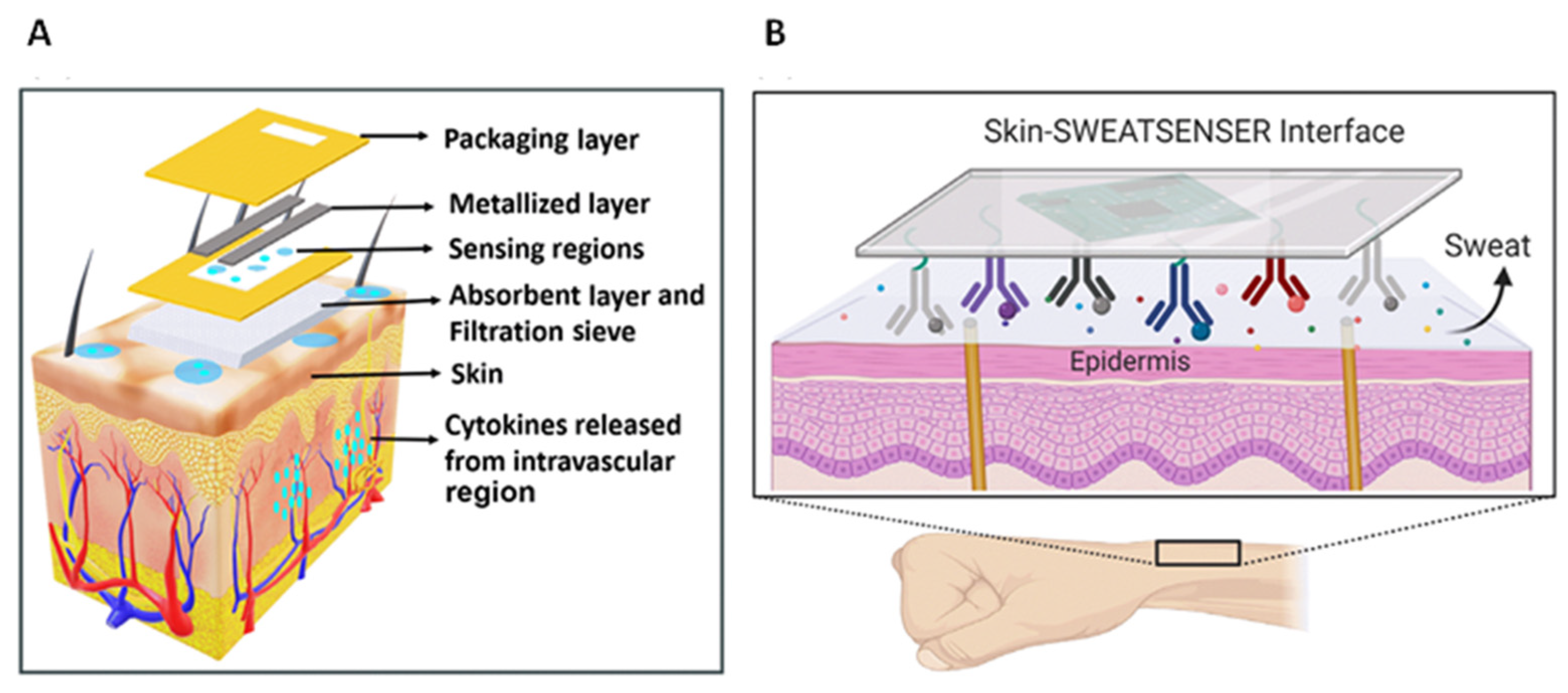 Chemosensors 10 00294 g003 Chemosensors 10 00294 g003