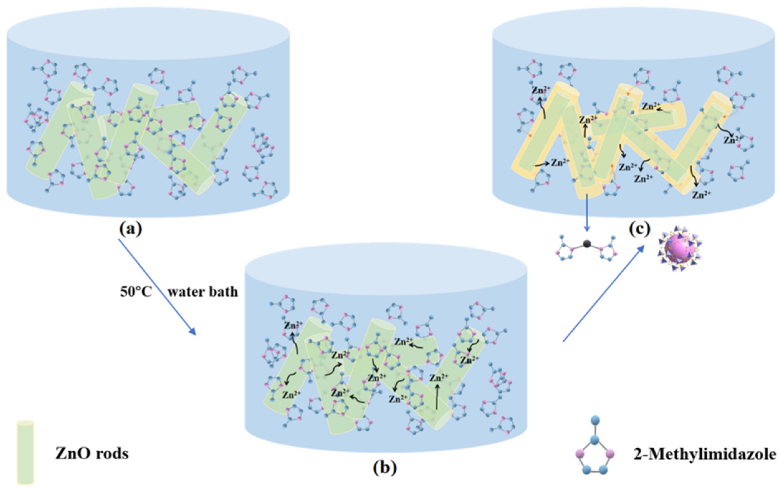 Chemosensors 10 00297 g007