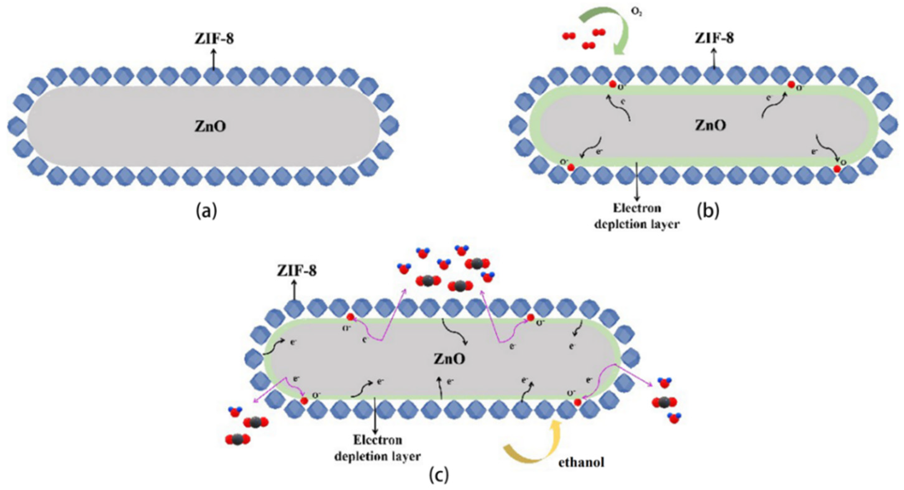 Chemosensors 10 00297 g009